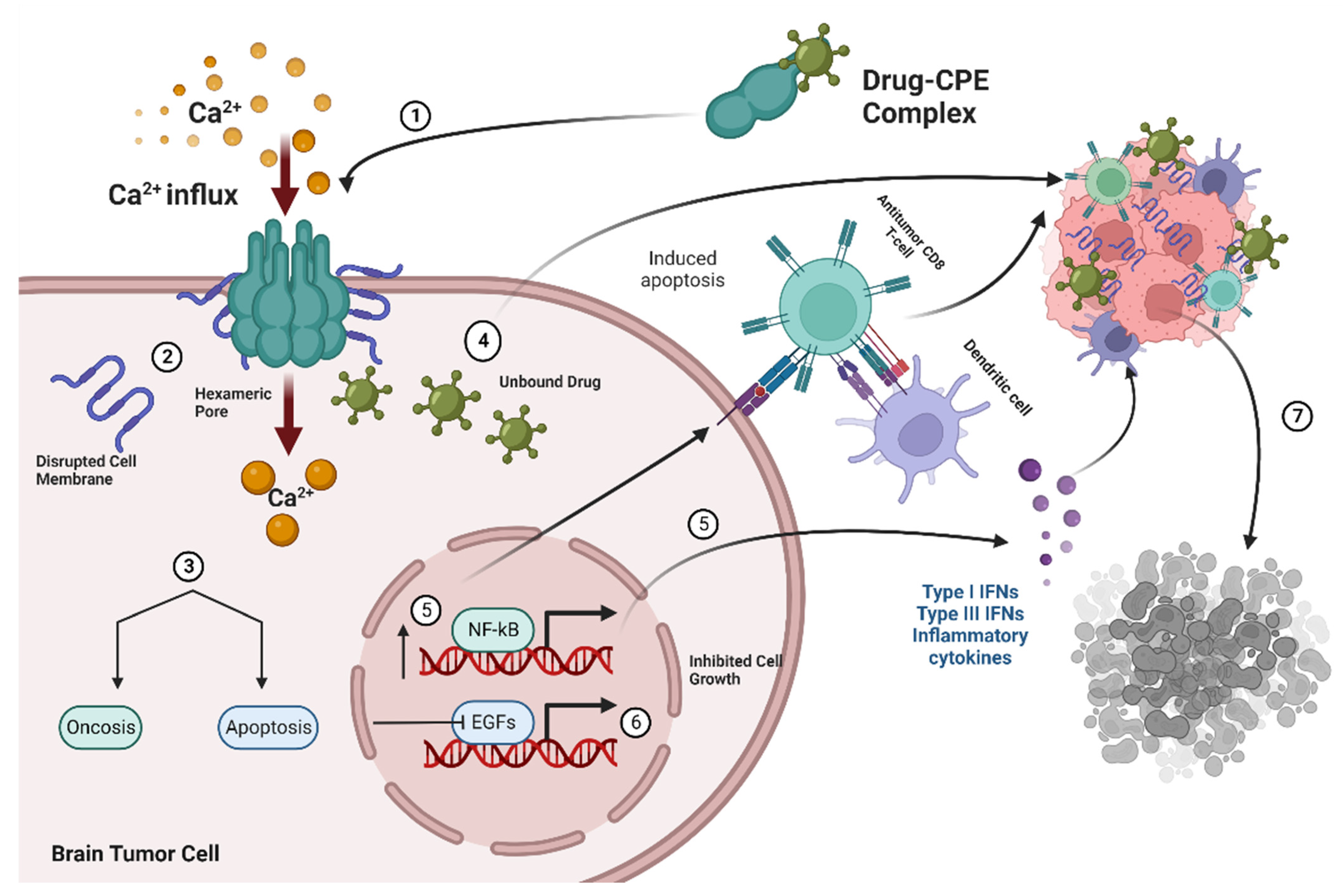 Cancers 14 04309 g002