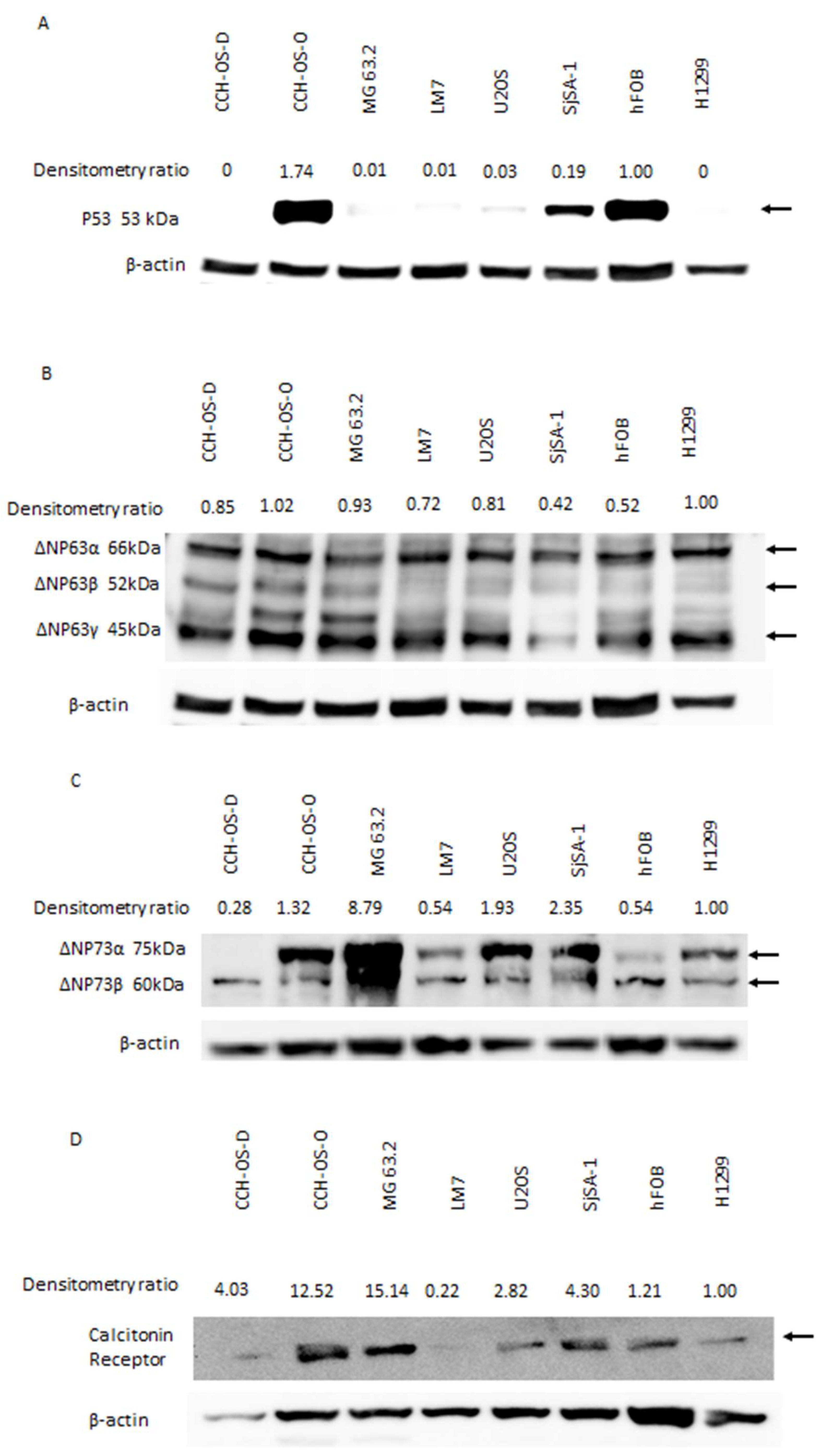 Cancers 14 04310 g001a
