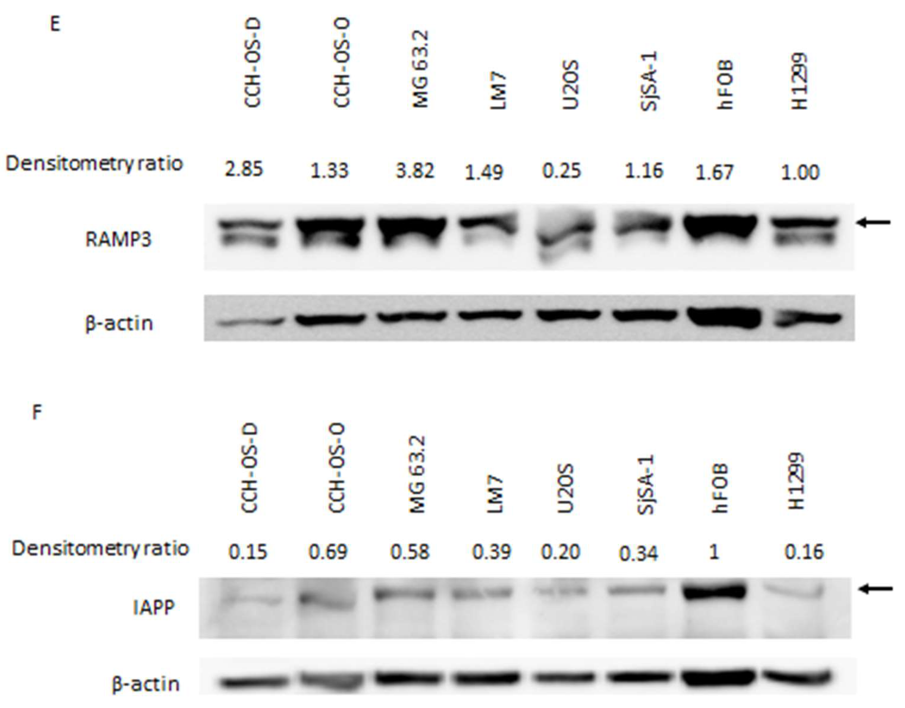 Cancers 14 04310 g001b