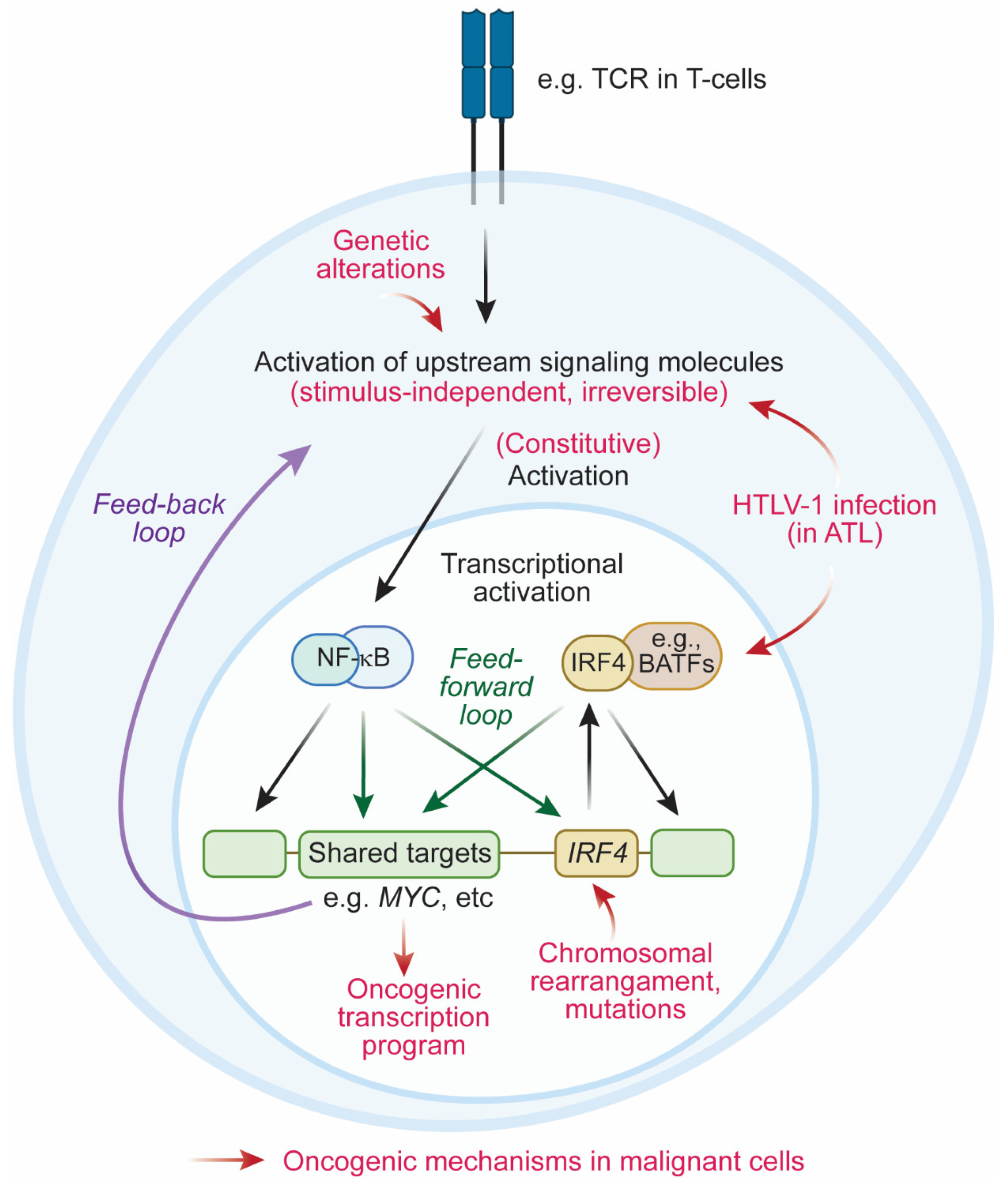 Cancers 14 04314 g001