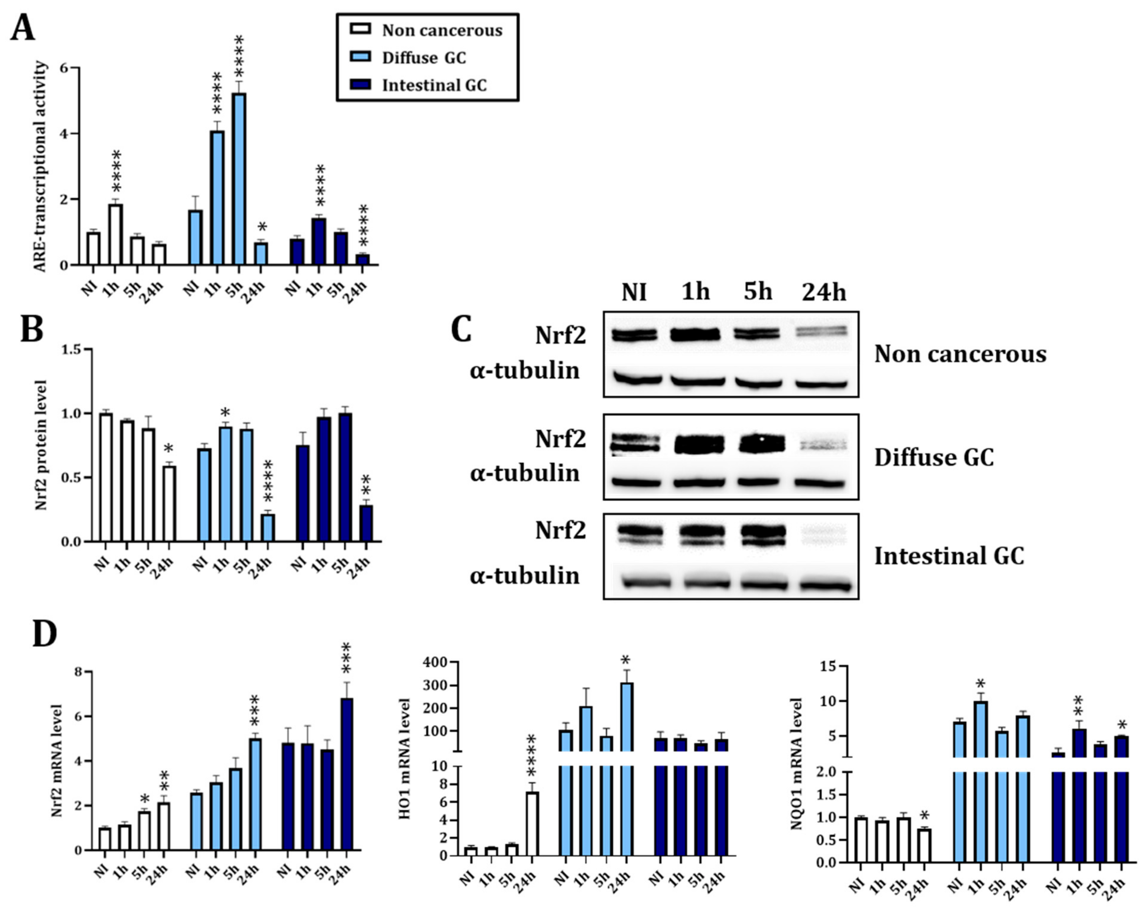 Cancers 14 04316 g001