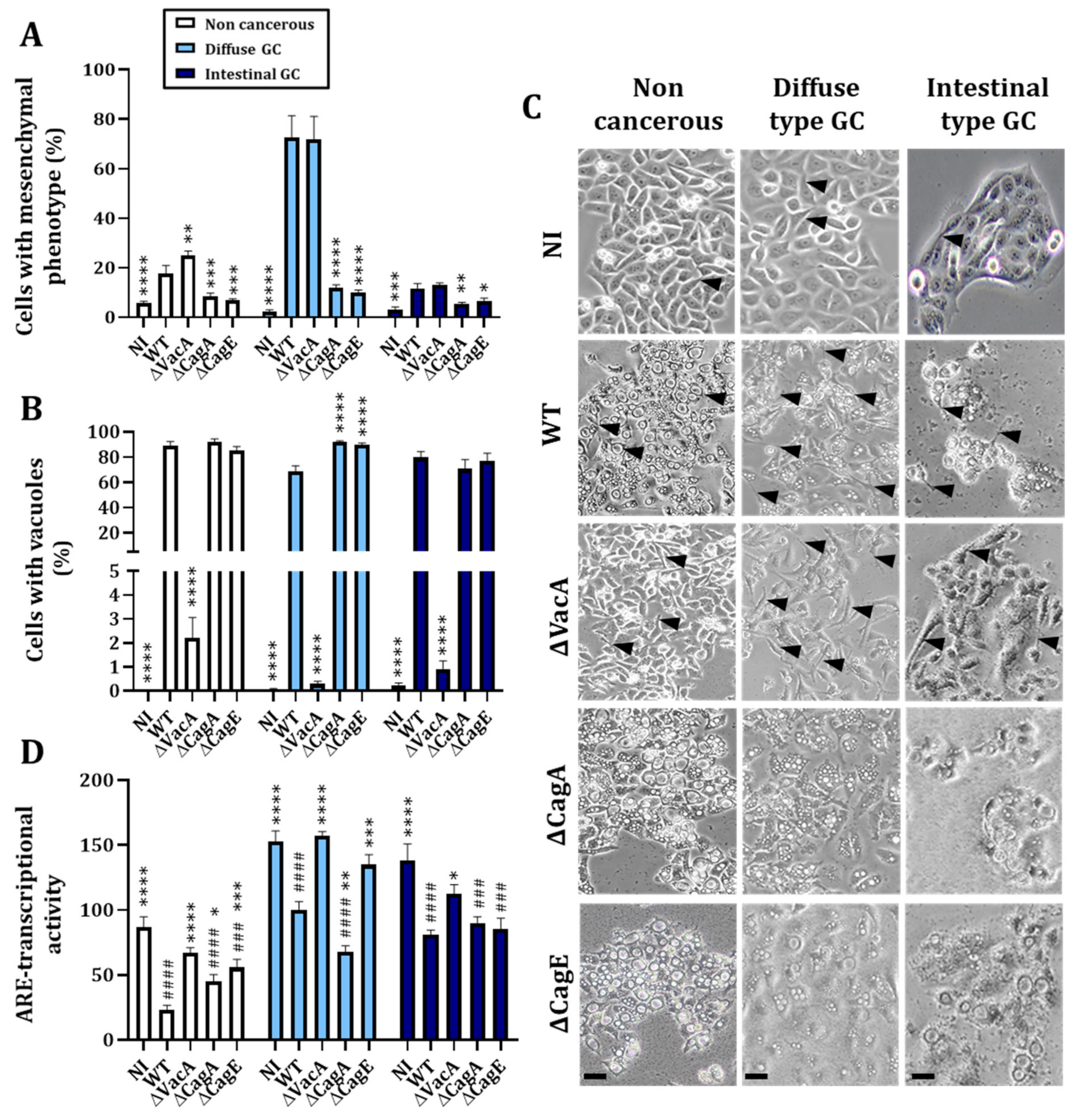 Cancers 14 04316 g003