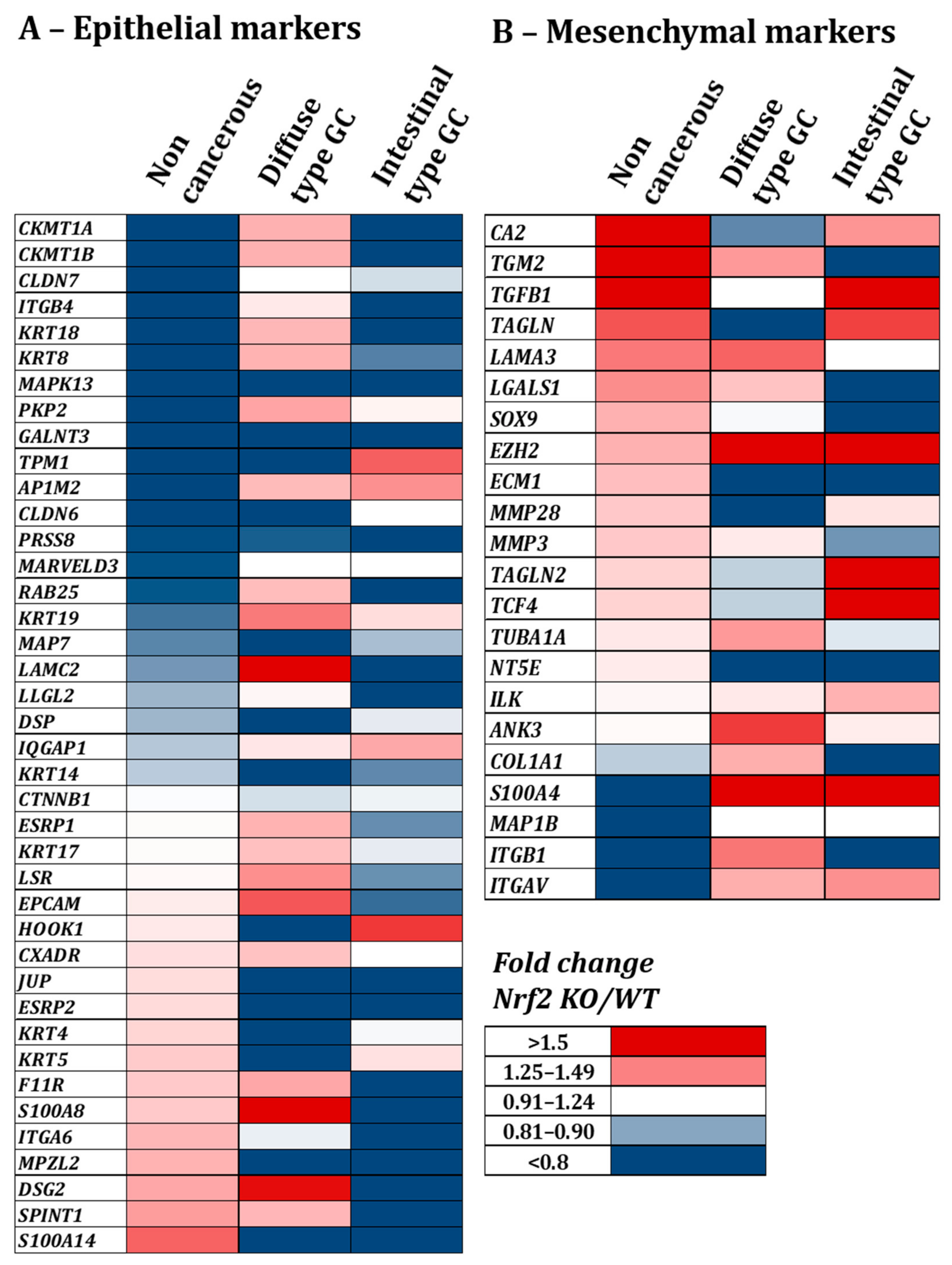 Cancers 14 04316 g004