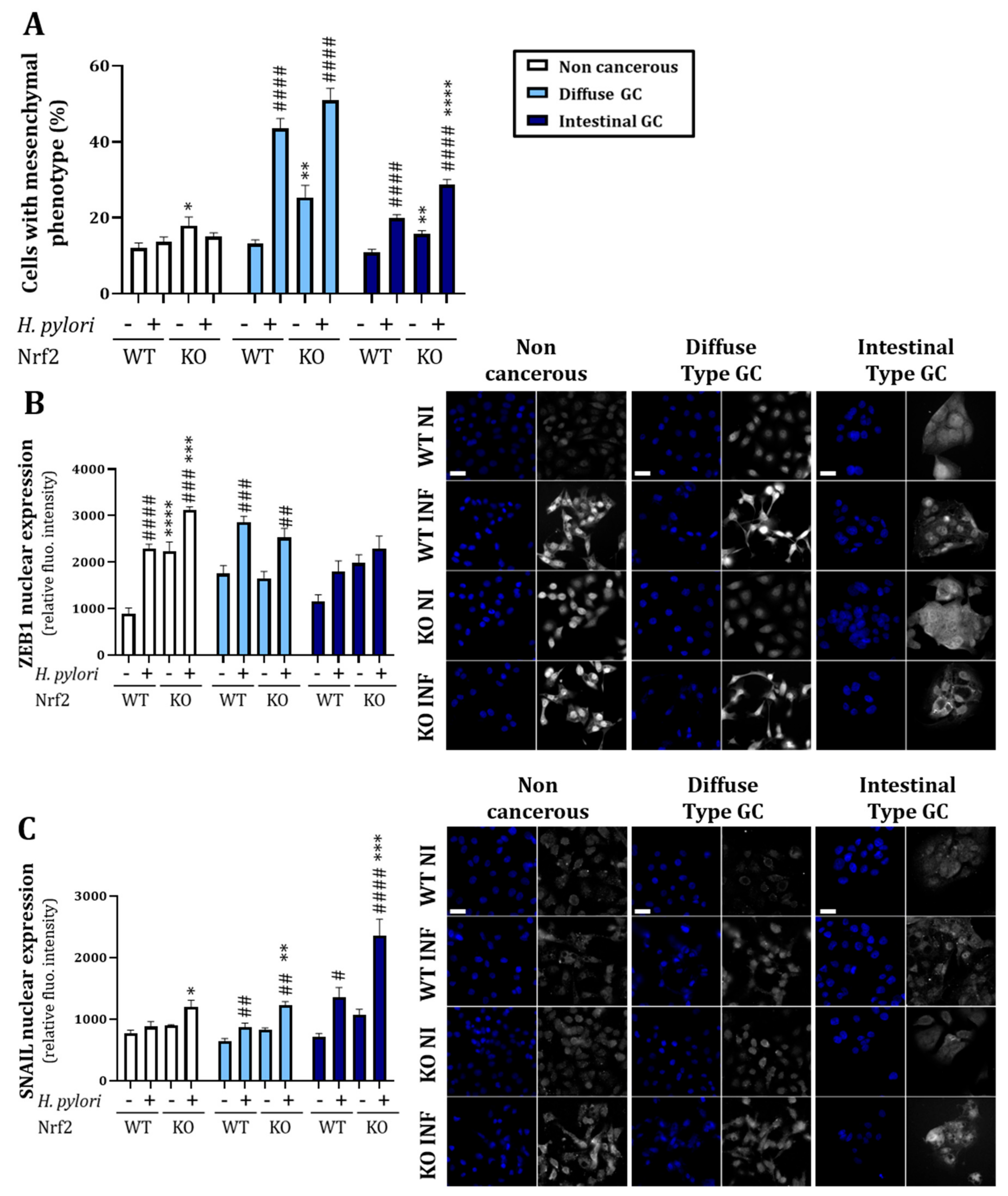 Cancers 14 04316 g005