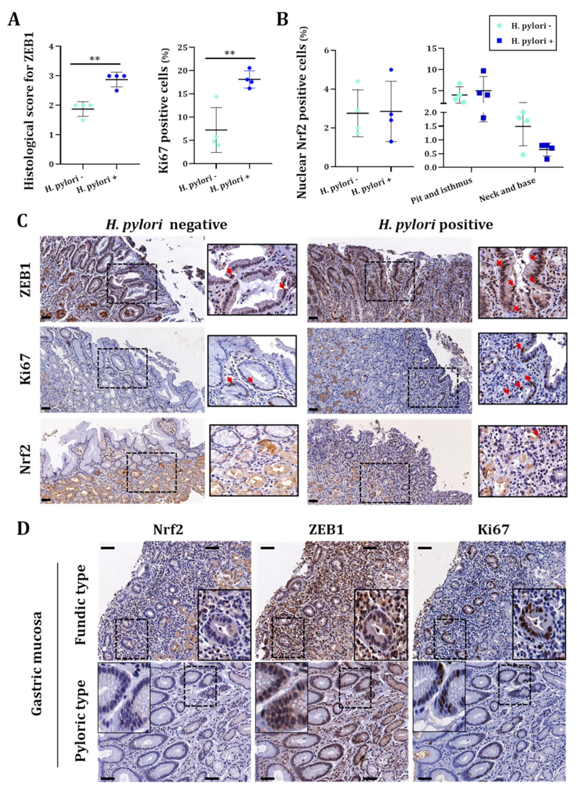 Cancers 14 04316 g006