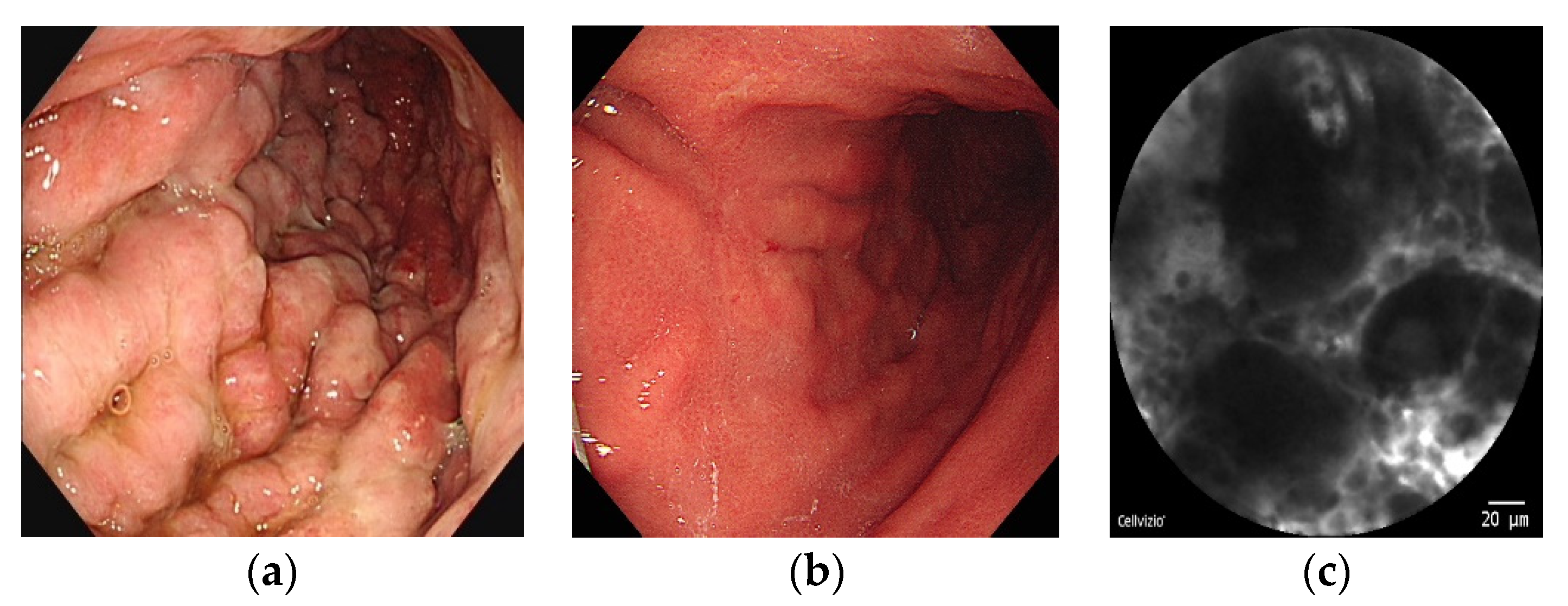 Cancers 14 04319 g002