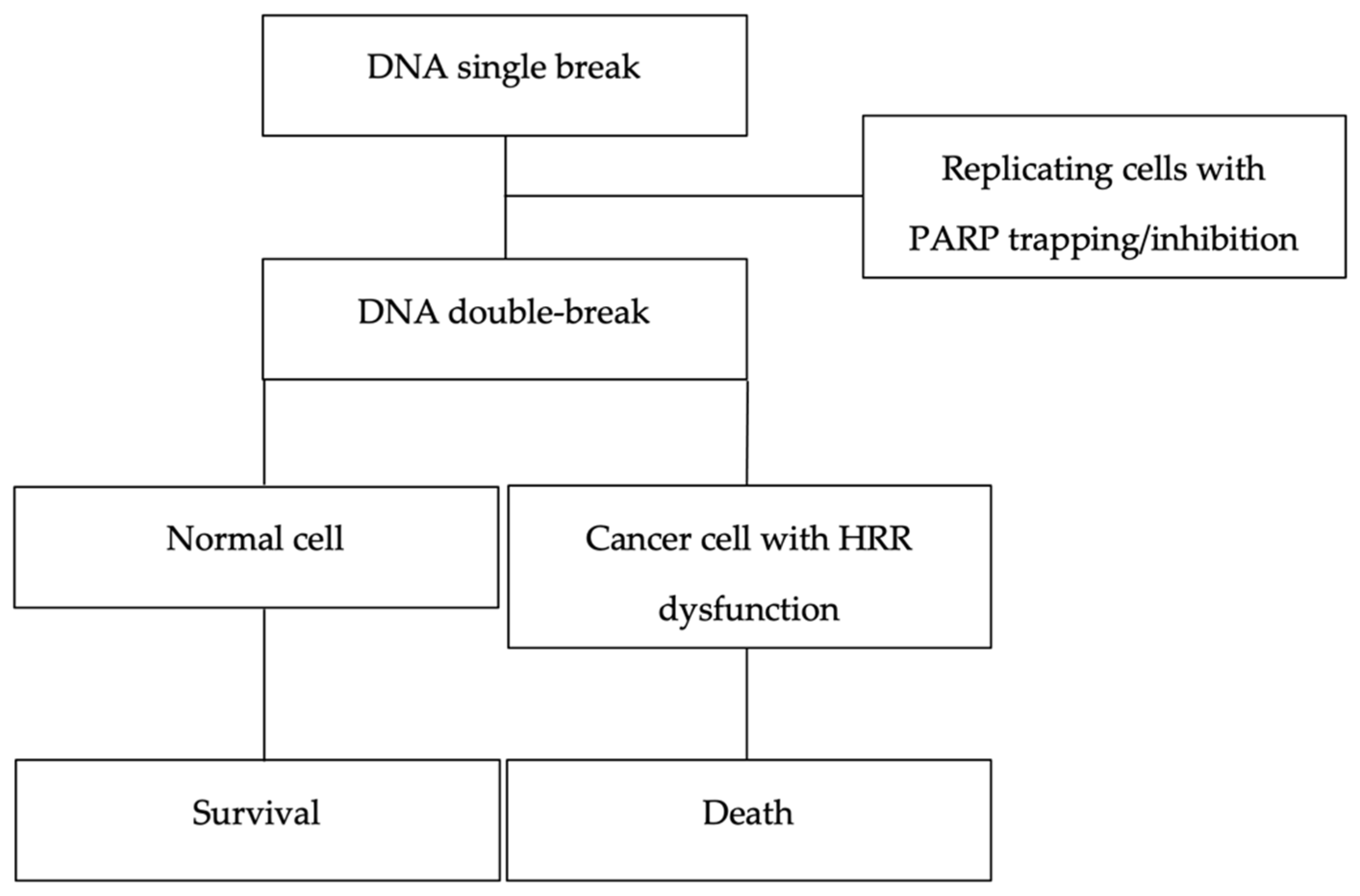 Cancers 14 04332 g001
