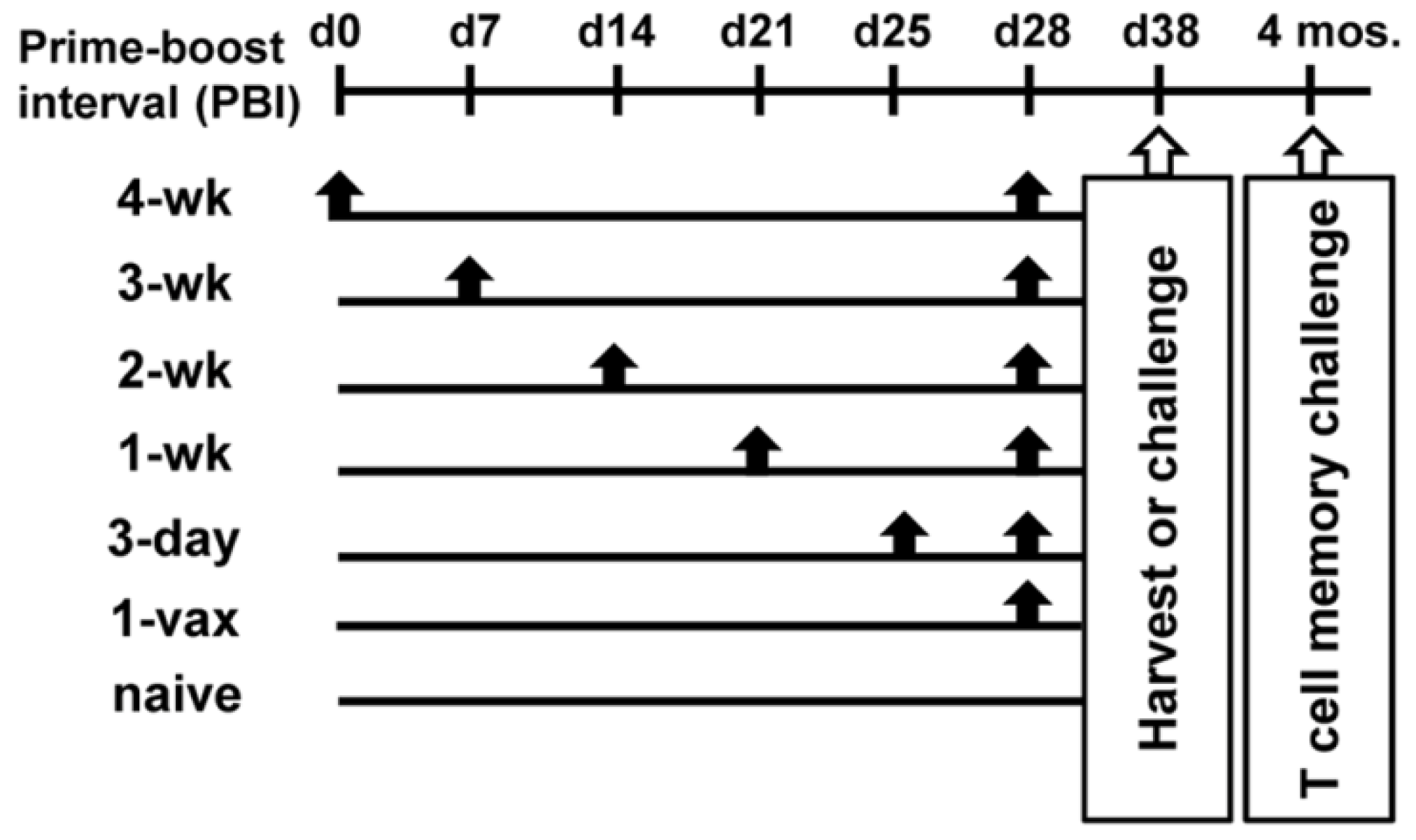 Cancers 14 04339 g001