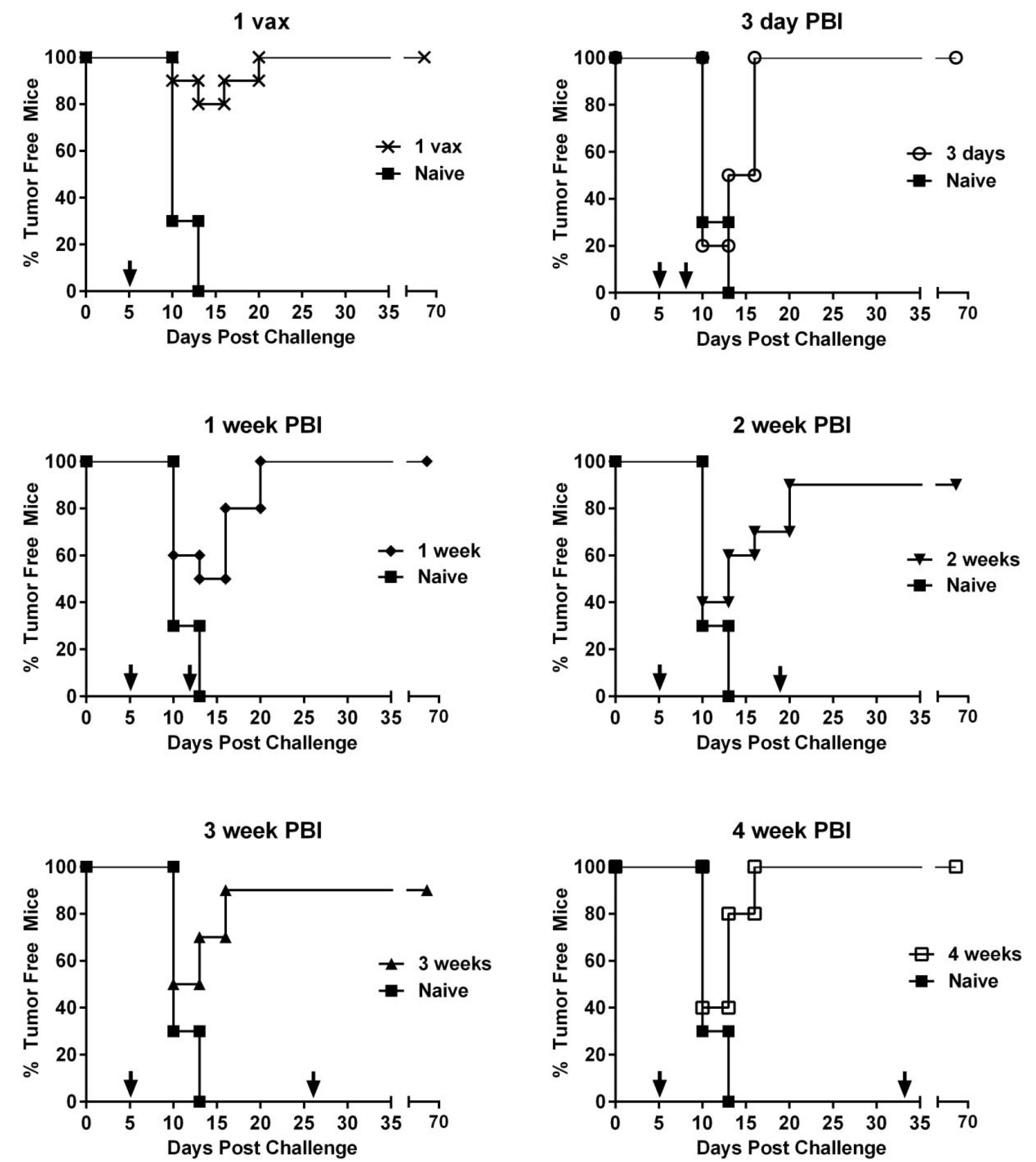 Cancers 14 04339 g005