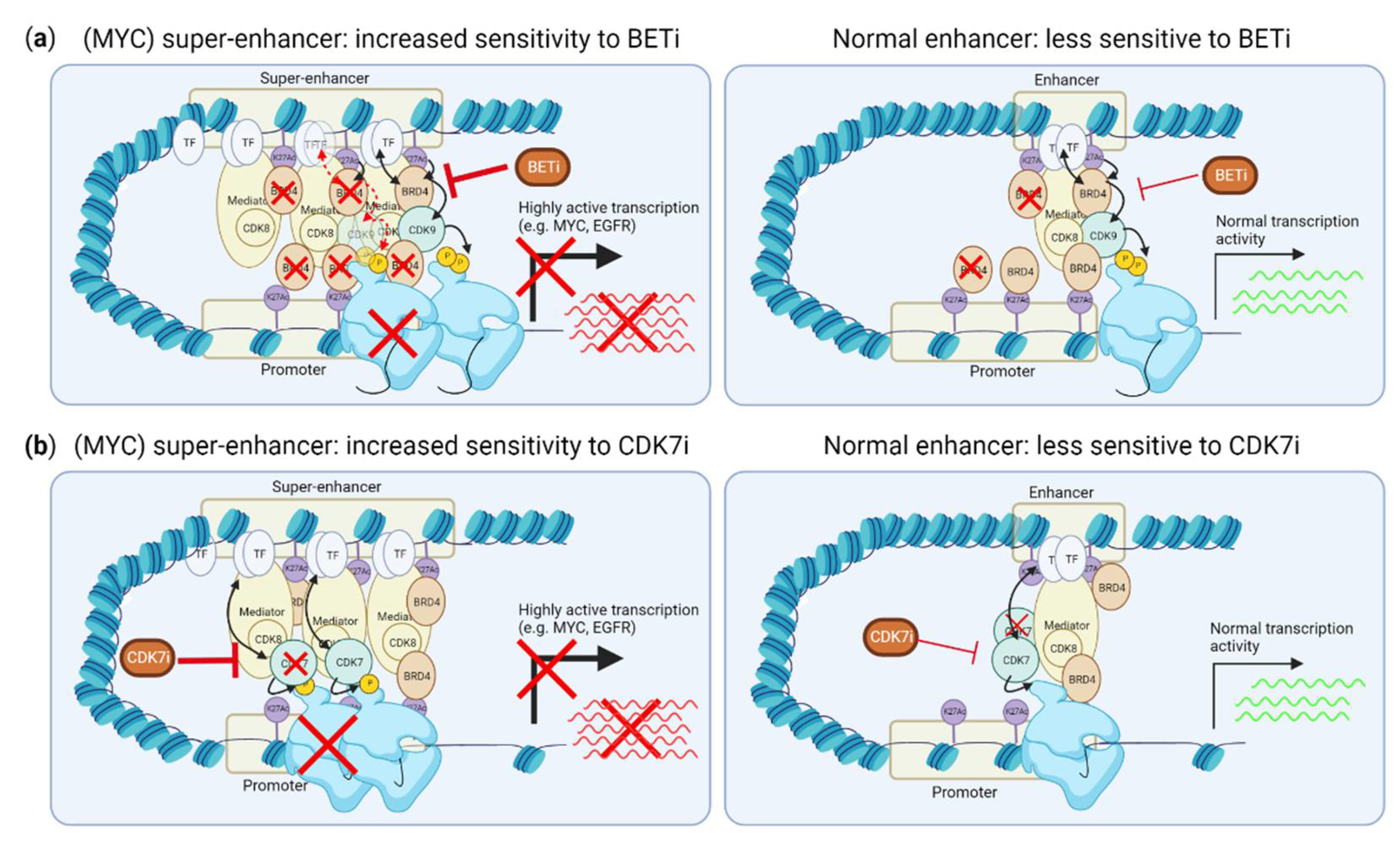 Cancers 14 04353 g003 Cancers 14 04353 g003