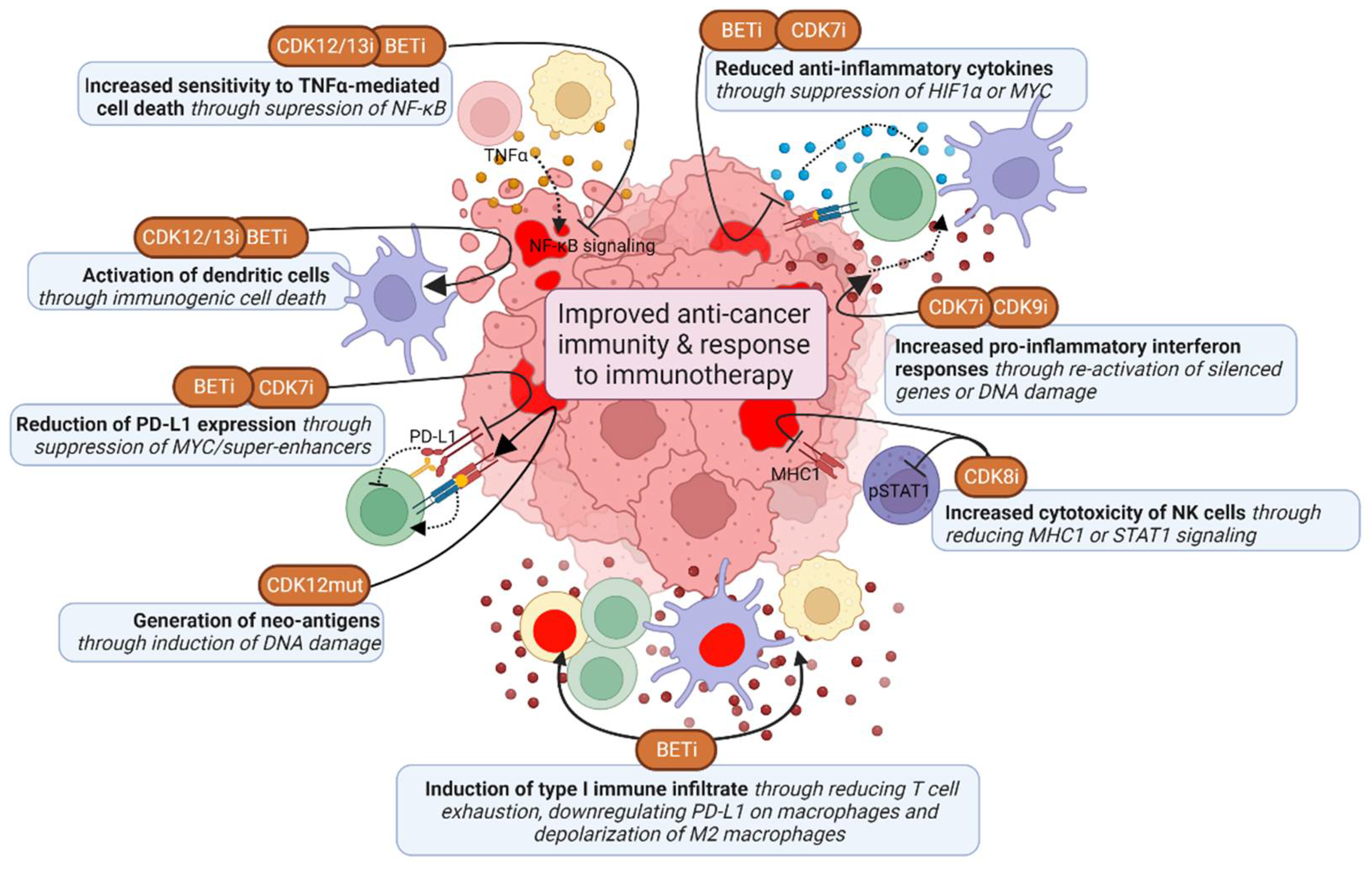 Cancers 14 04353 g005 Cancers 14 04353 g005