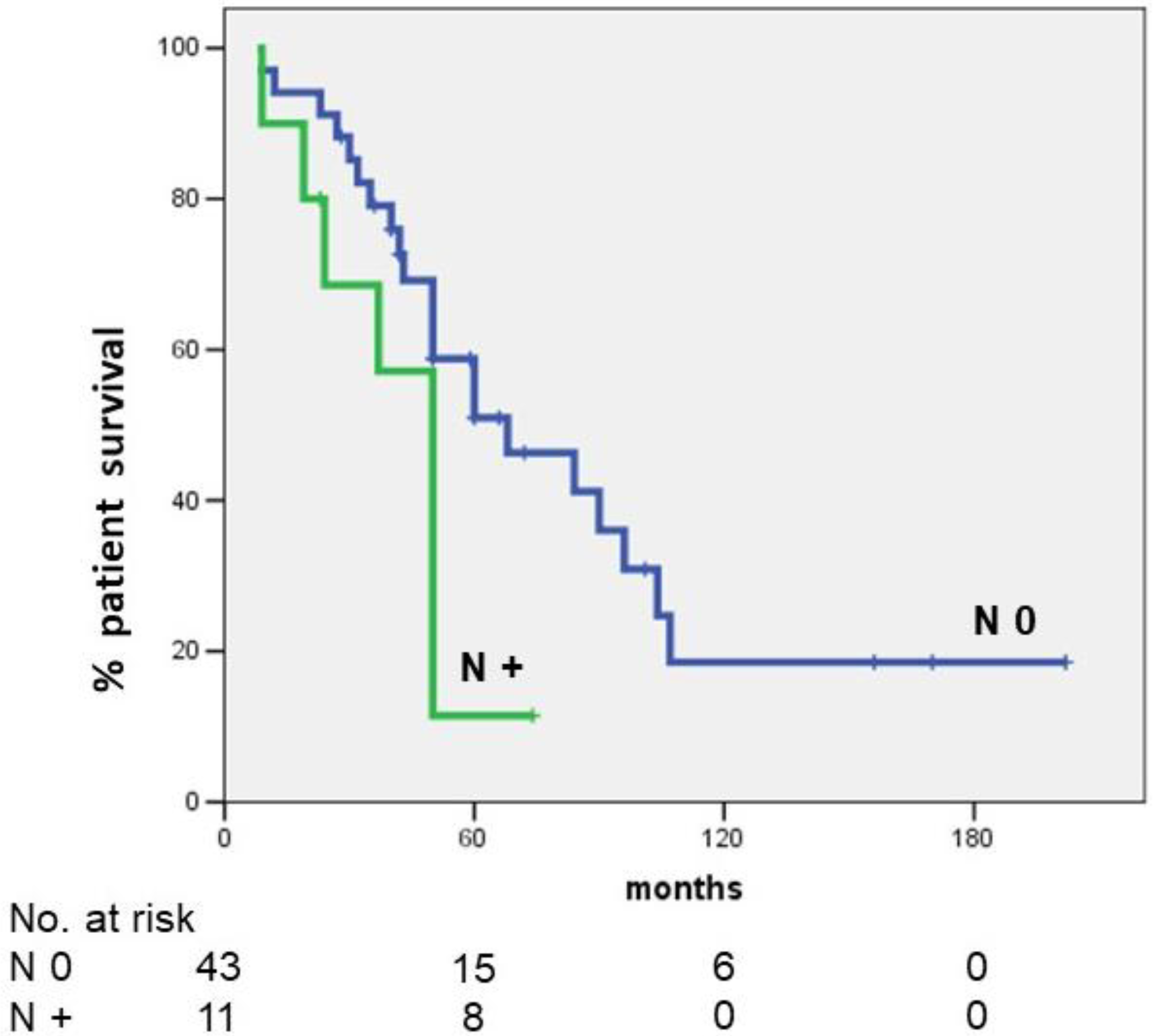 Cancers 14 04370 g002