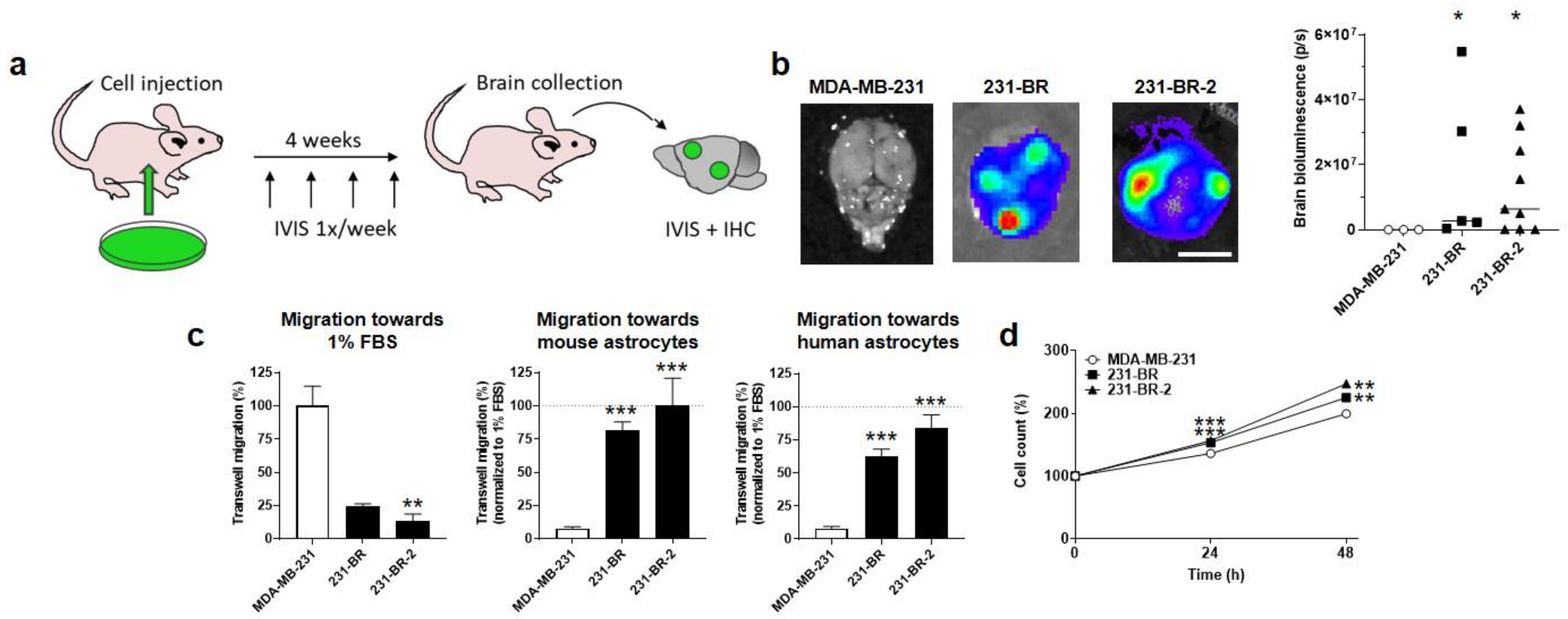 Cancers 14 04371 g001