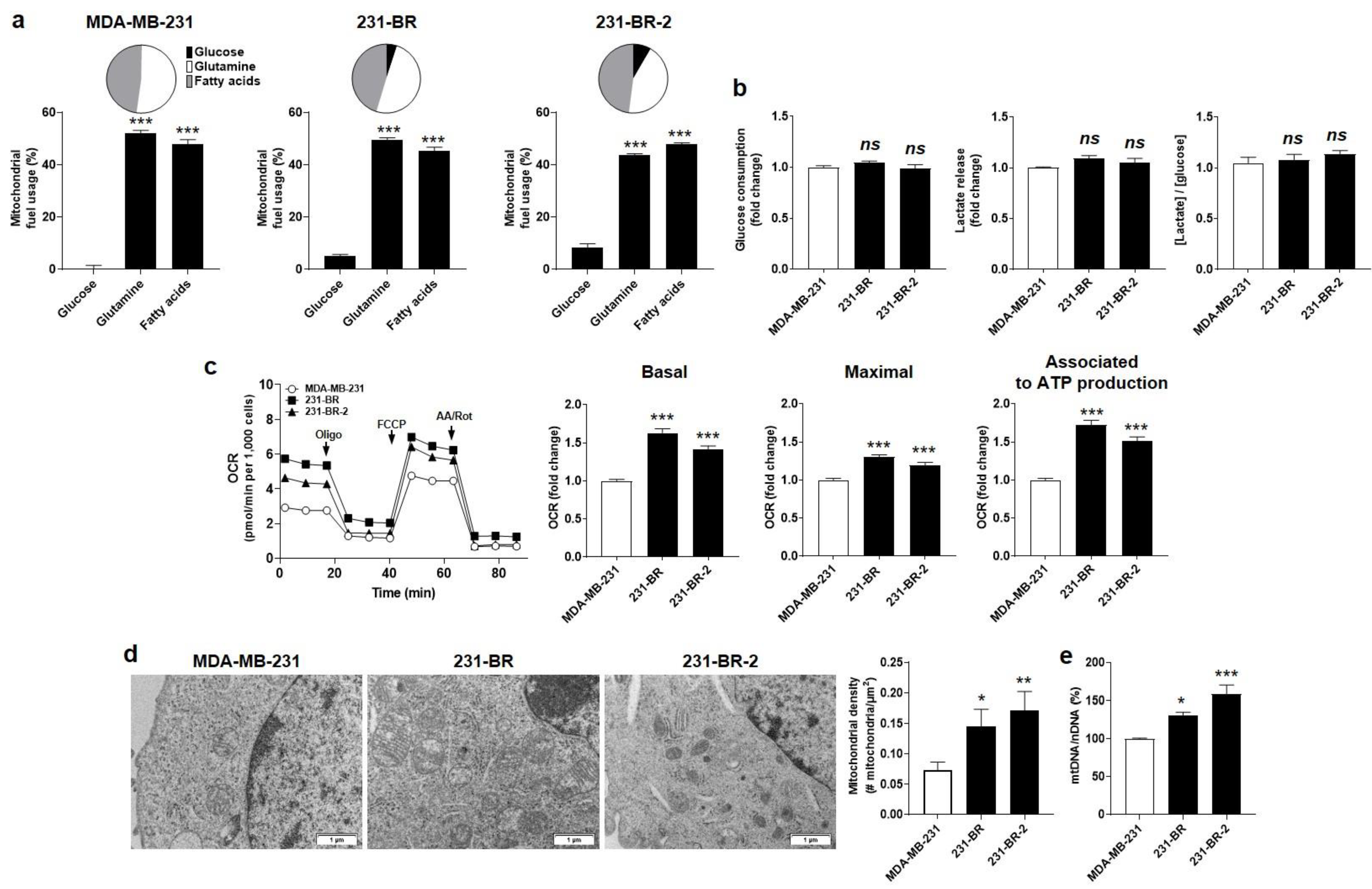 Cancers 14 04371 g002