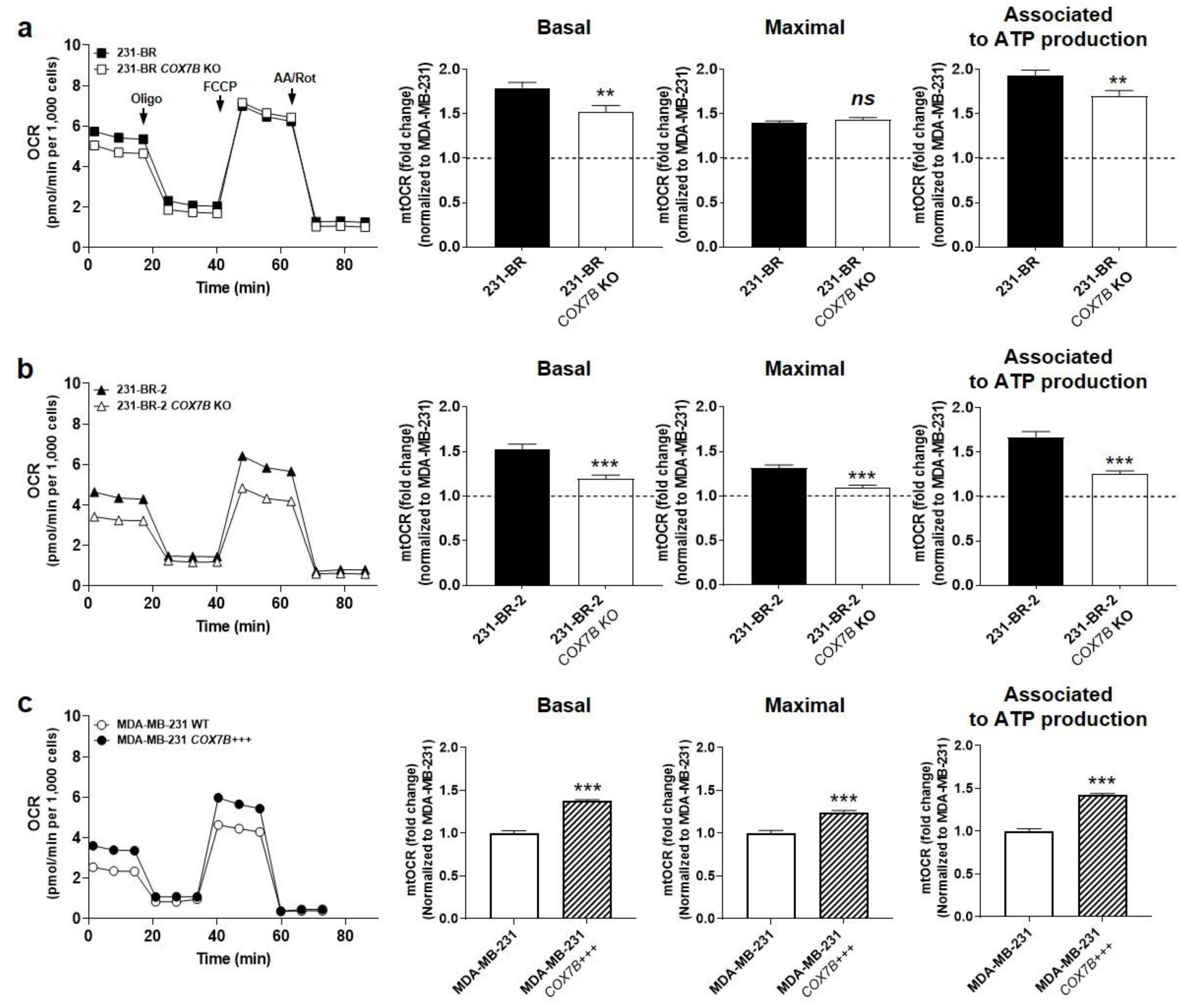Cancers 14 04371 g005