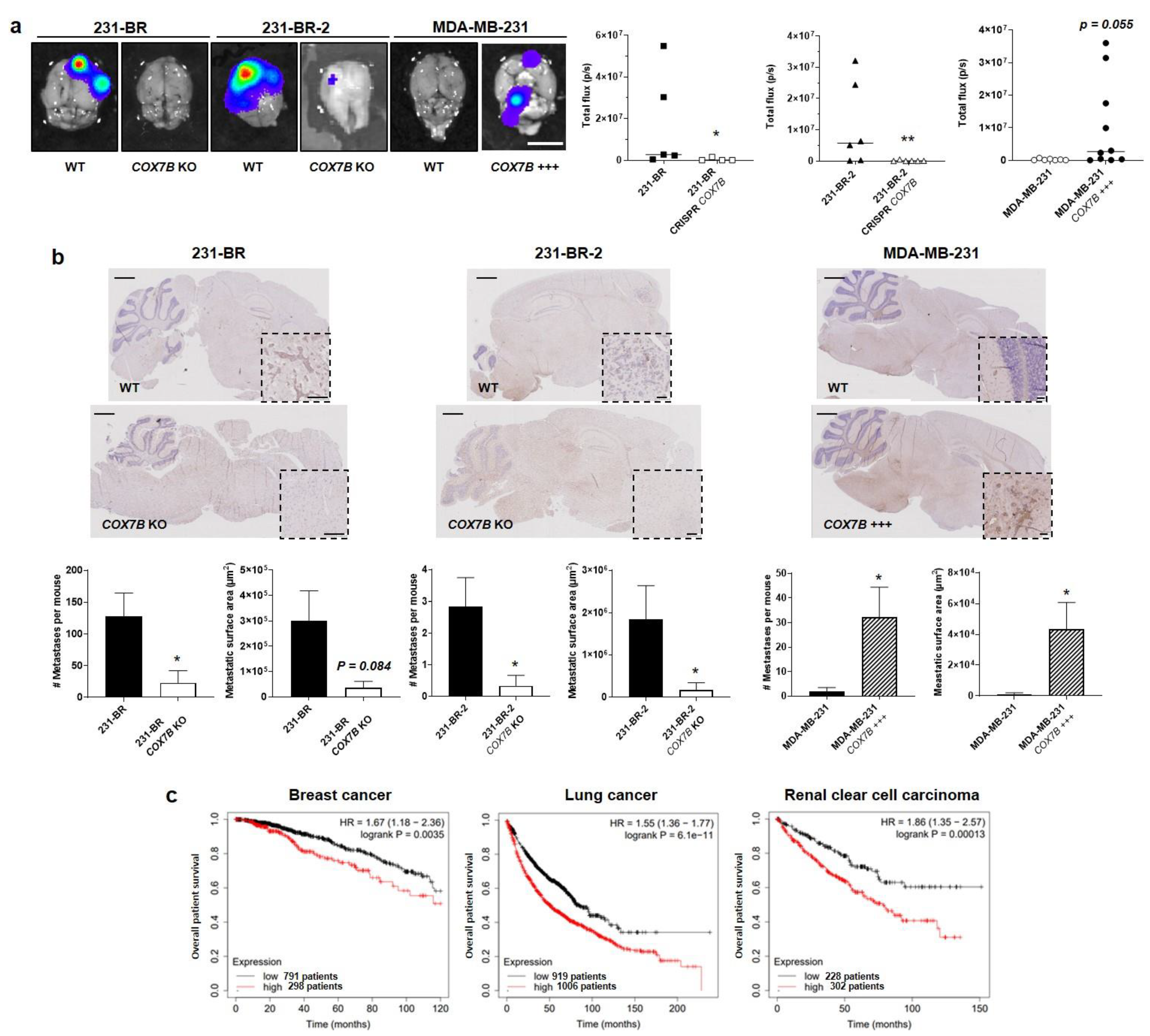 Cancers 14 04371 g006