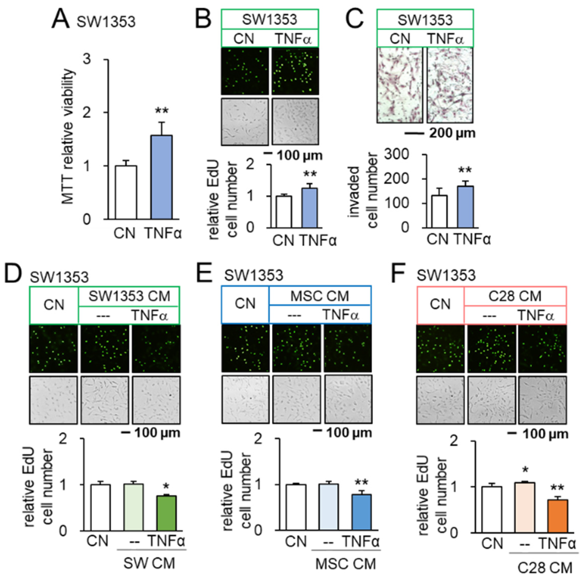 Cancers 14 04393 g001