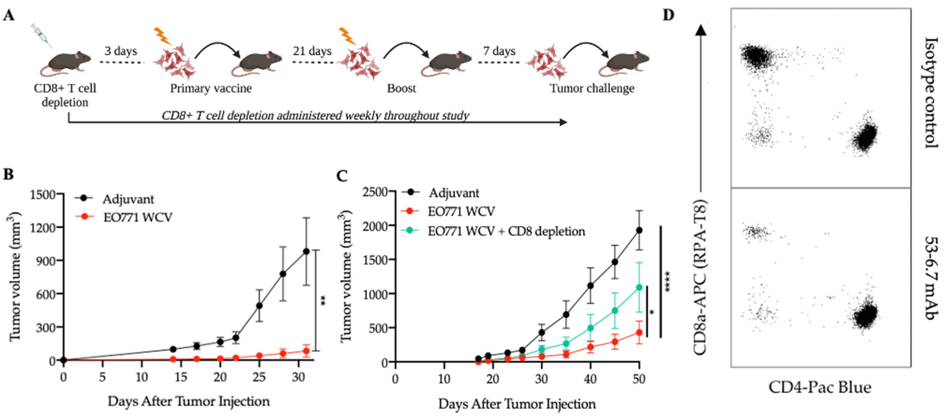 Cancers 14 04397 g001