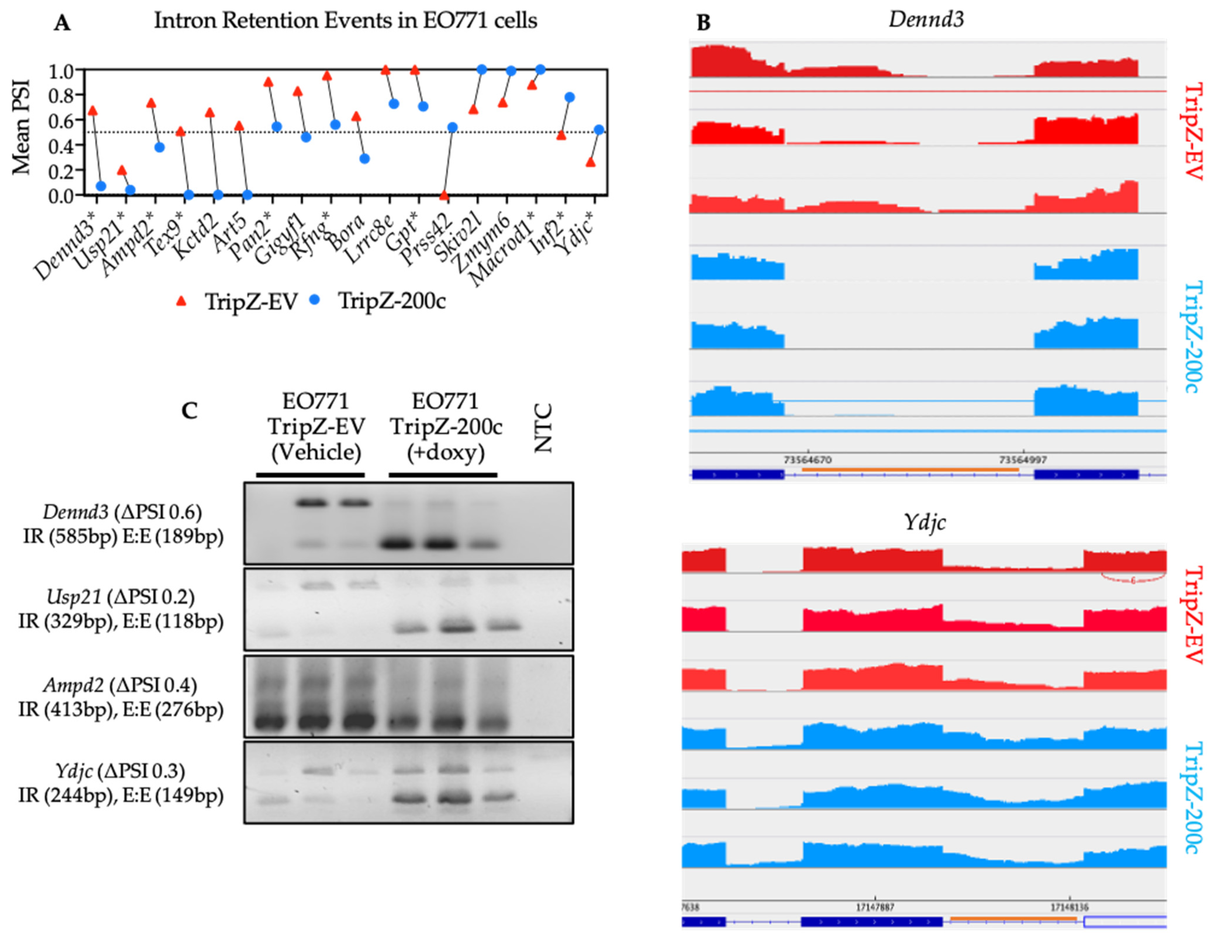 Cancers 14 04397 g006