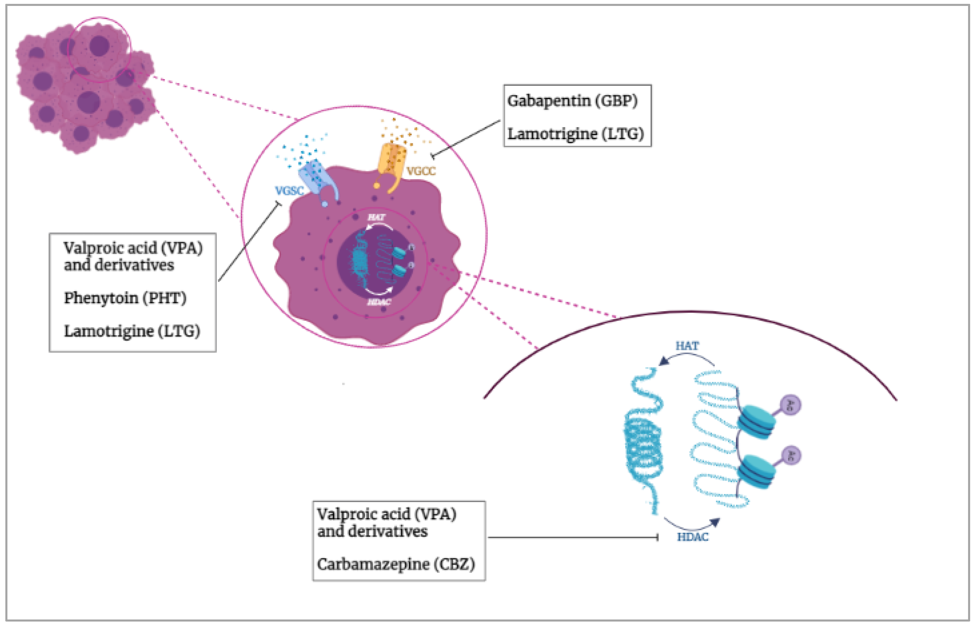 Cancers 14 04401 g001 Cancers 14 04401 g001