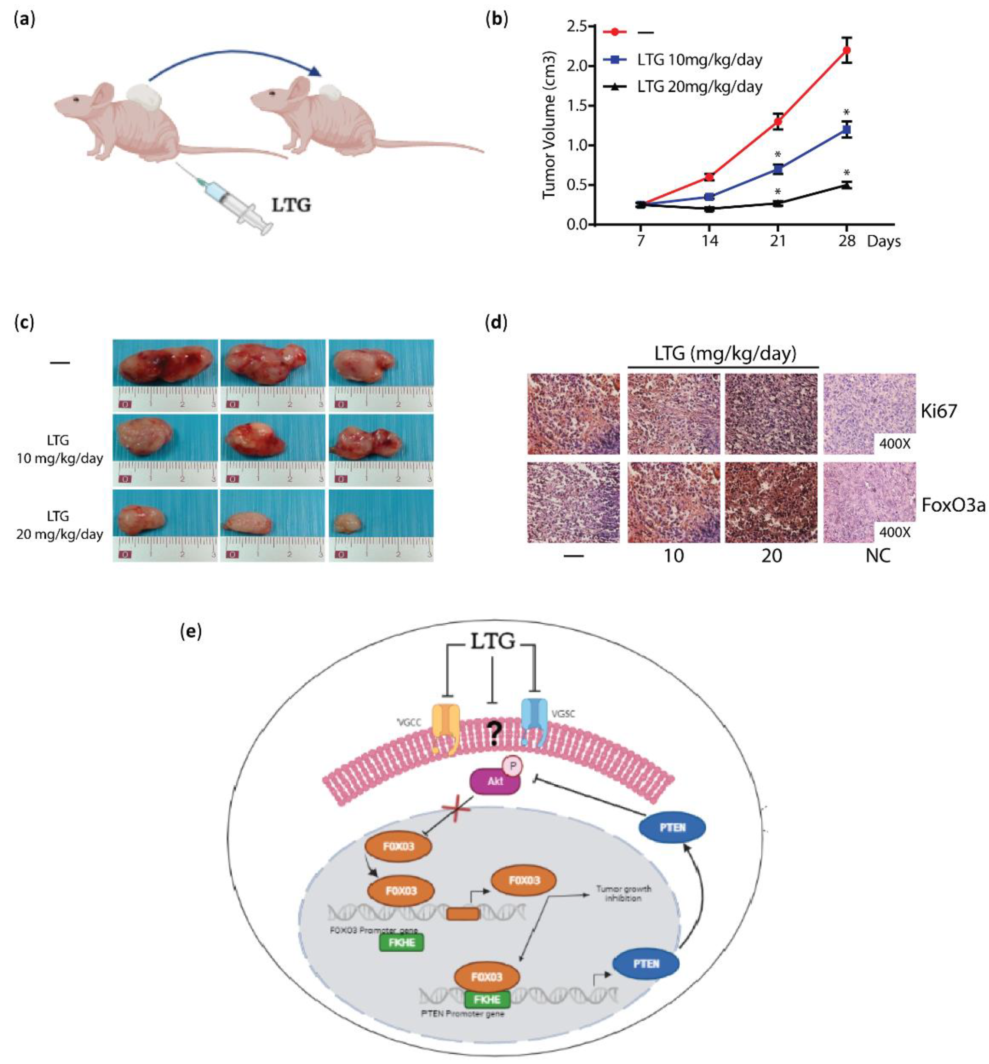 Cancers 14 04401 g002 Cancers 14 04401 g002