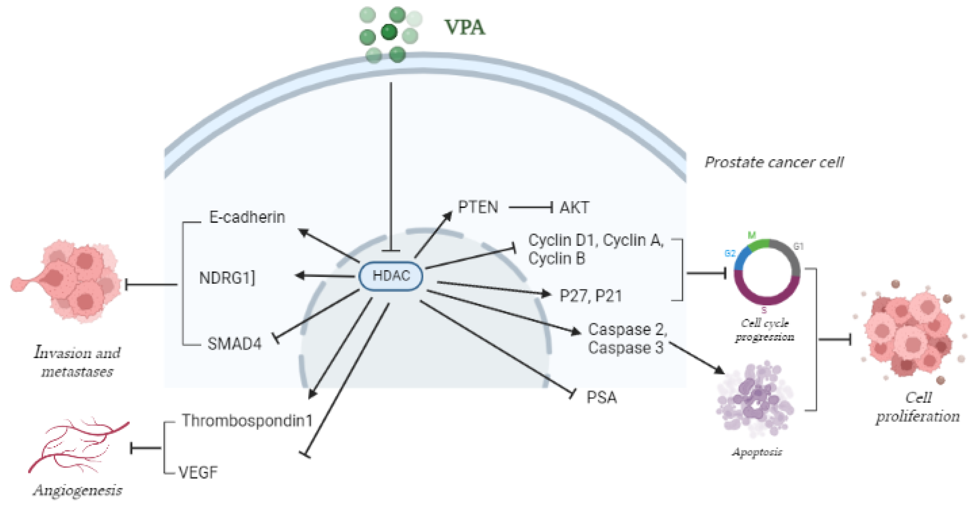 Cancers 14 04401 g003 Cancers 14 04401 g003