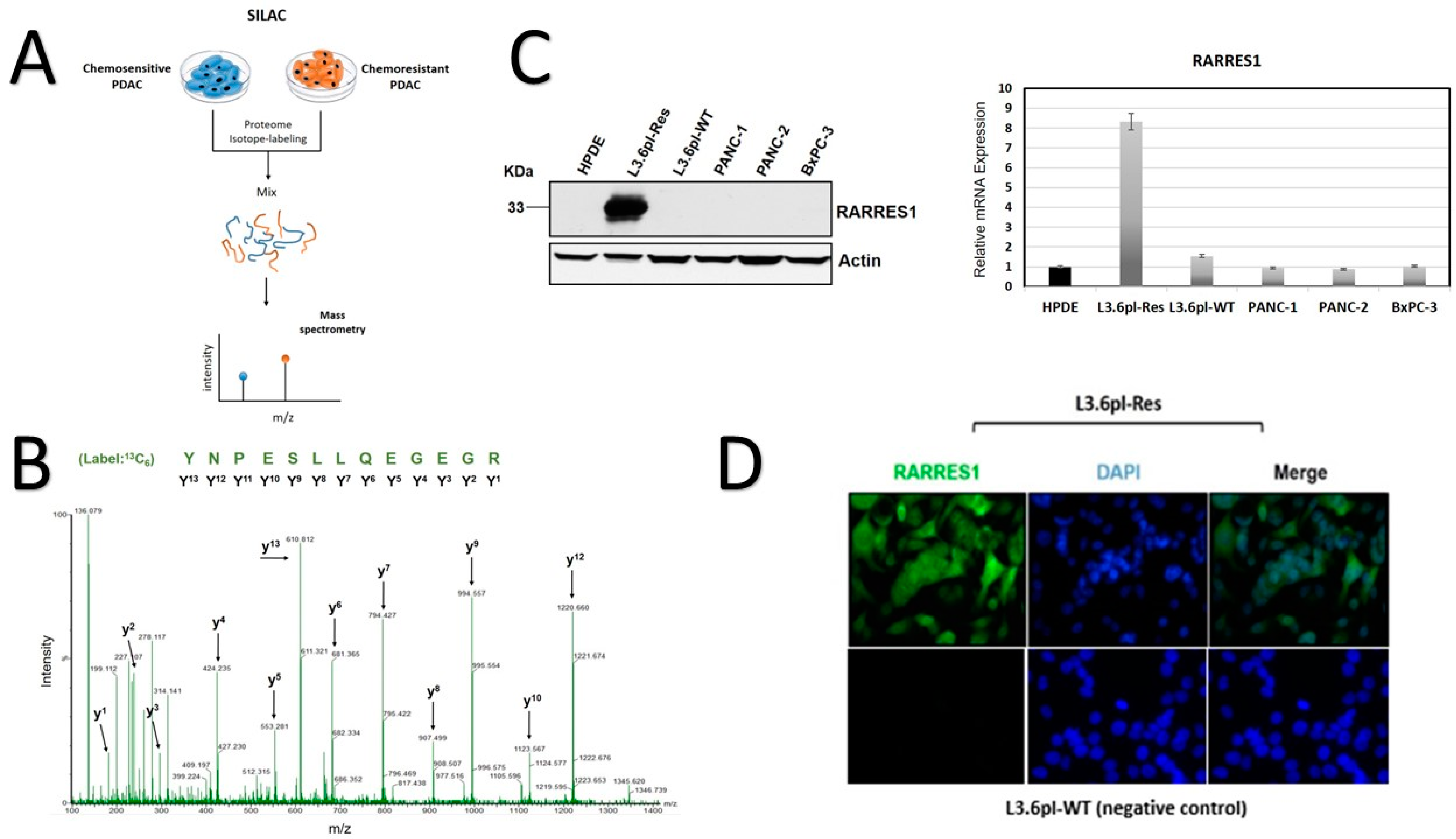 Cancers 14 04405 g001