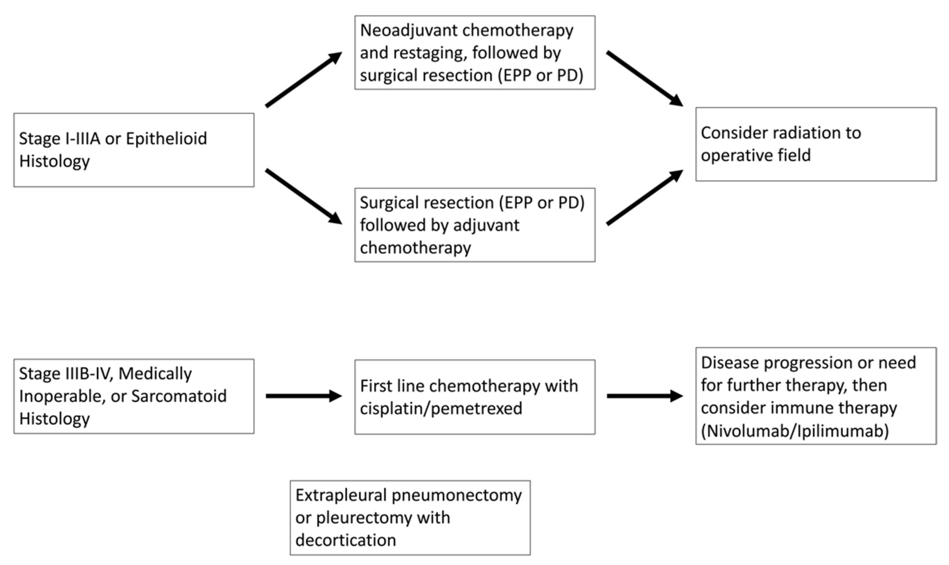 Cancers 14 04415 g001