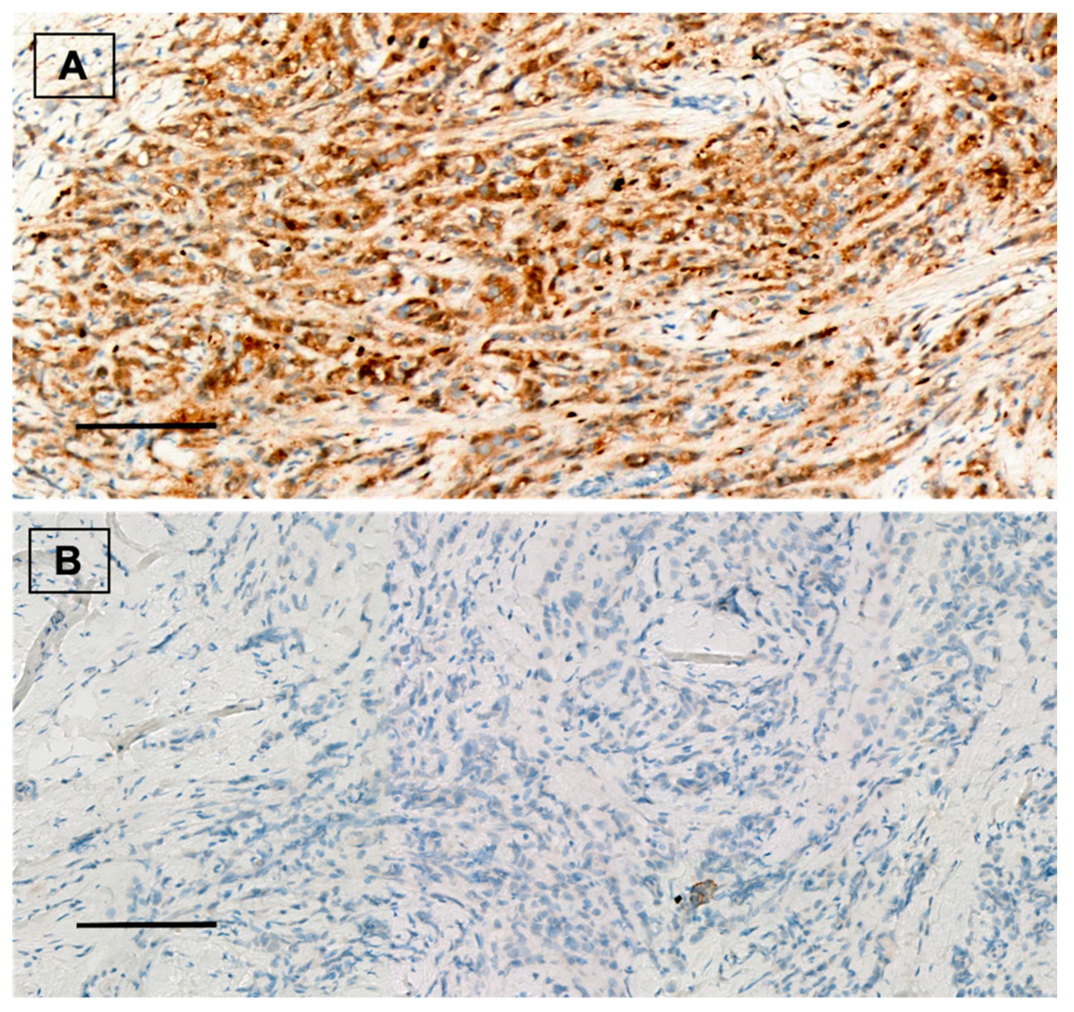 Cancers 14 04418 g001