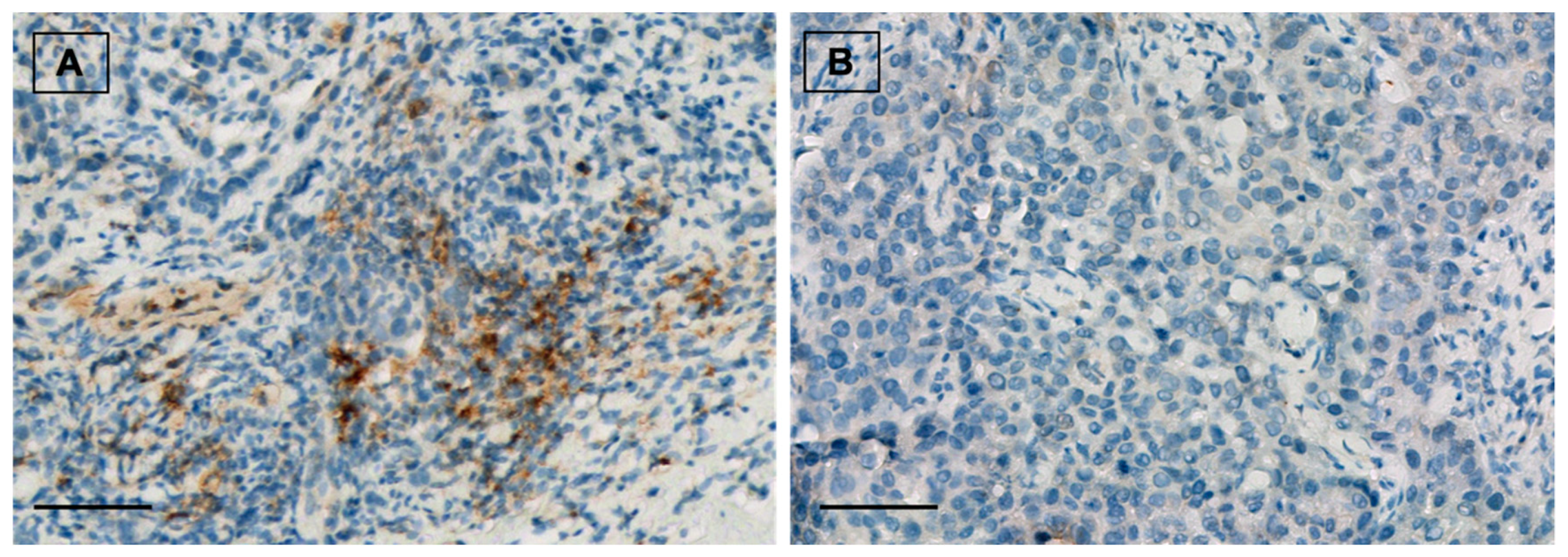 Cancers 14 04418 g002