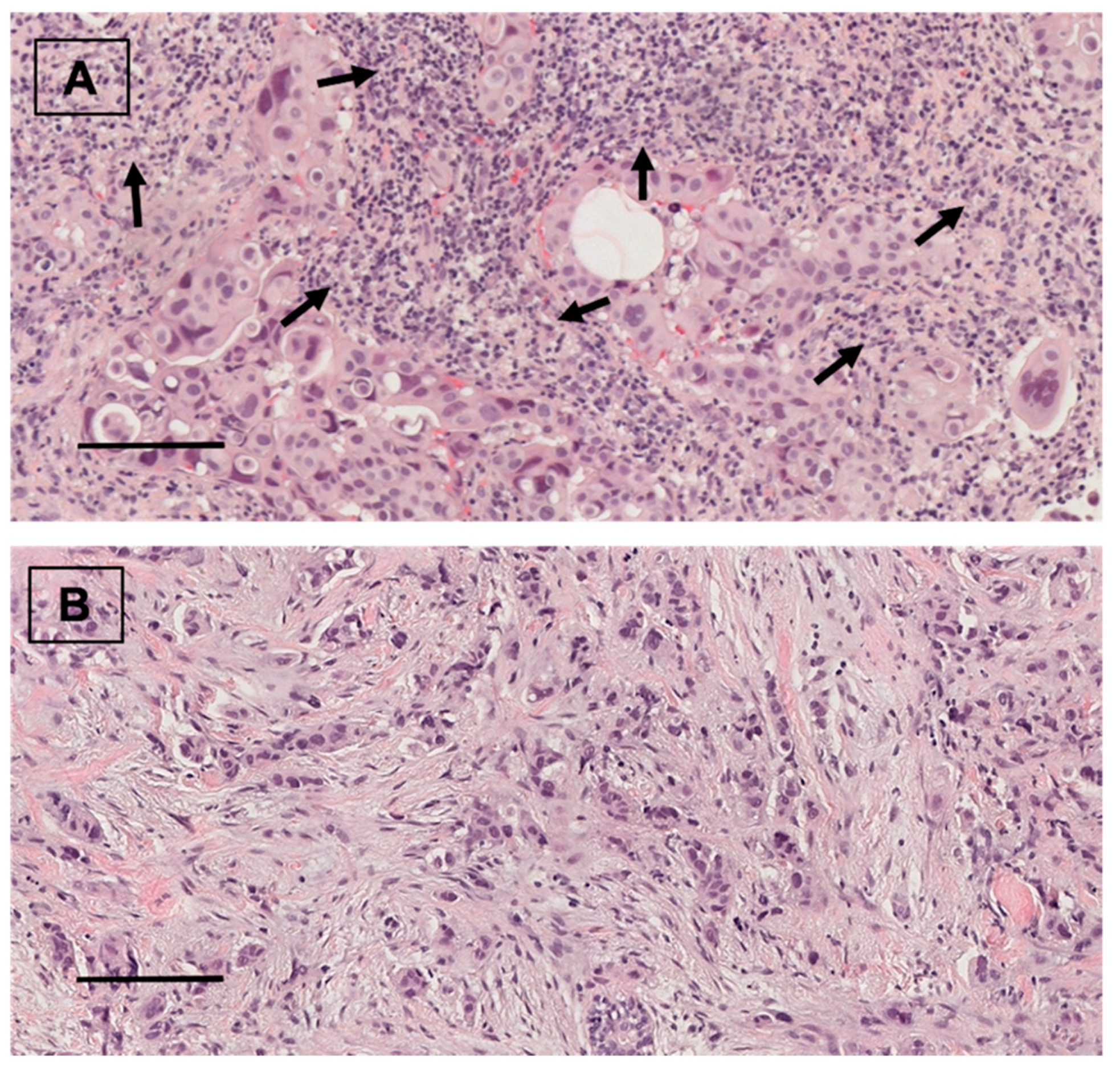 Cancers 14 04418 g003