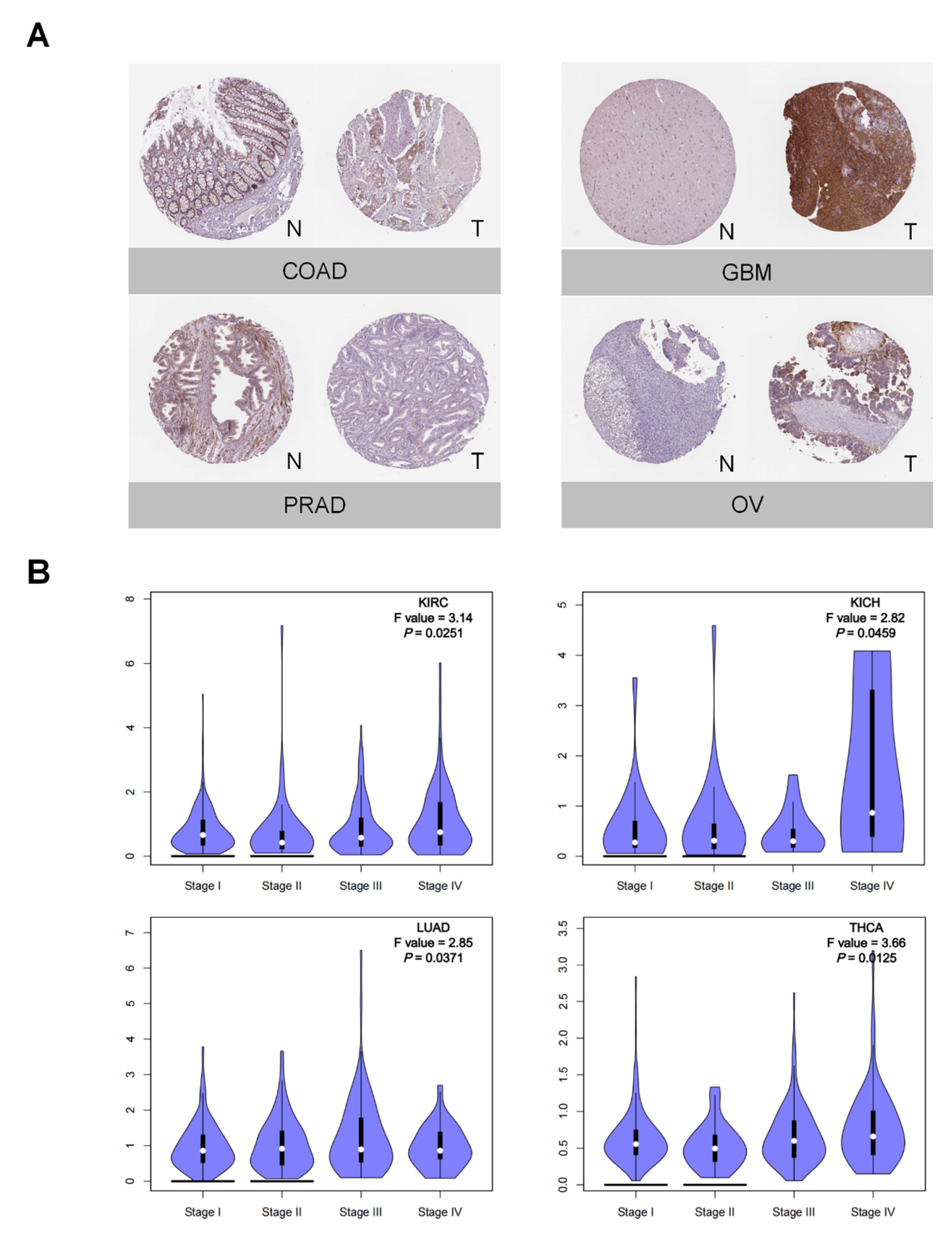 Cancers 14 04438 g002