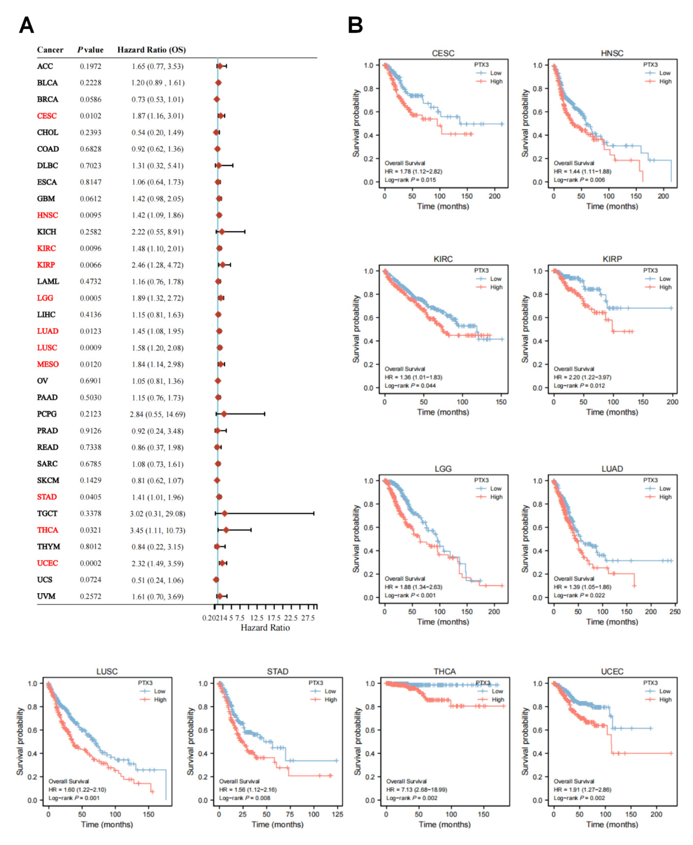 Cancers 14 04438 g003