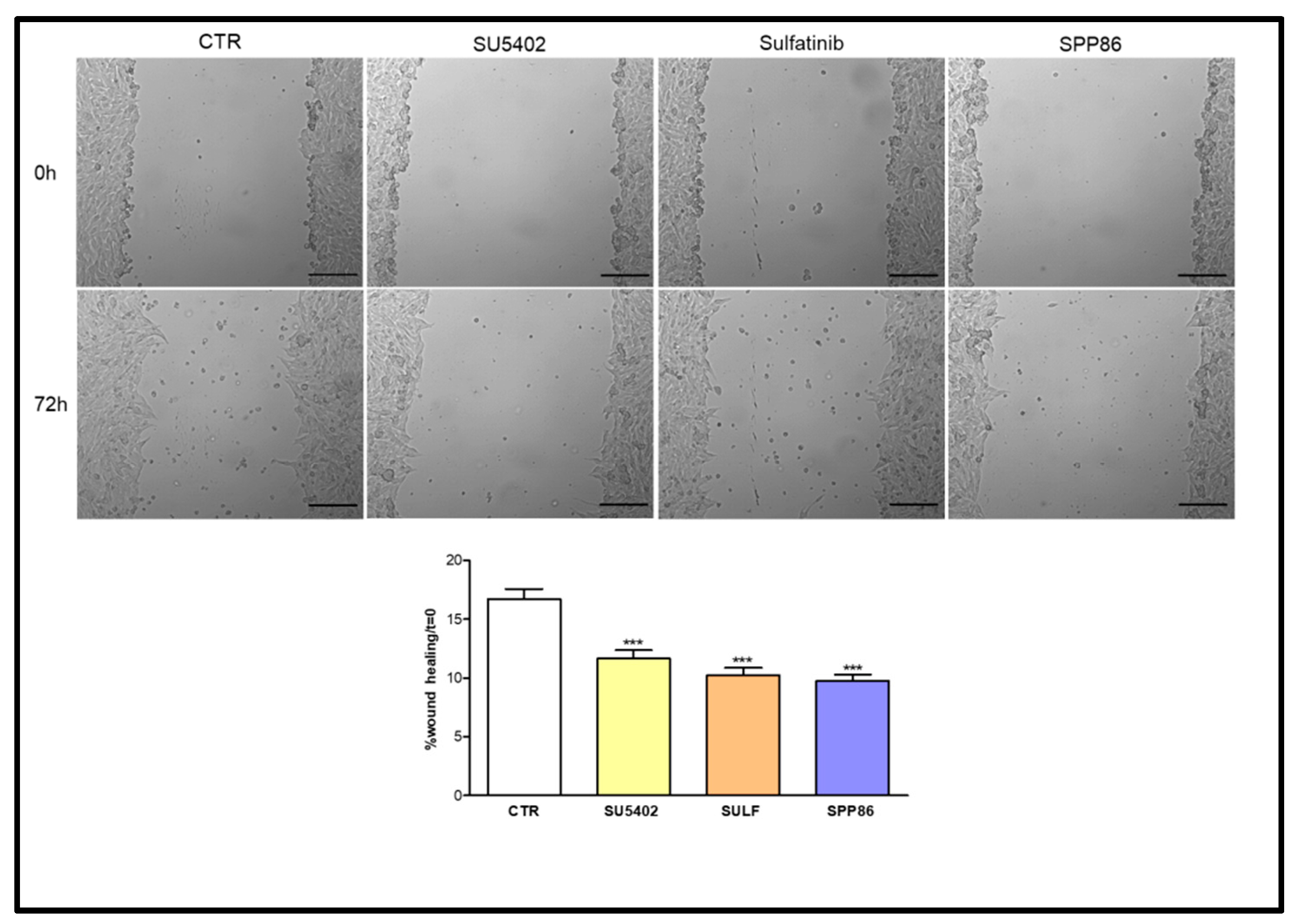 Cancers 14 04442 g005