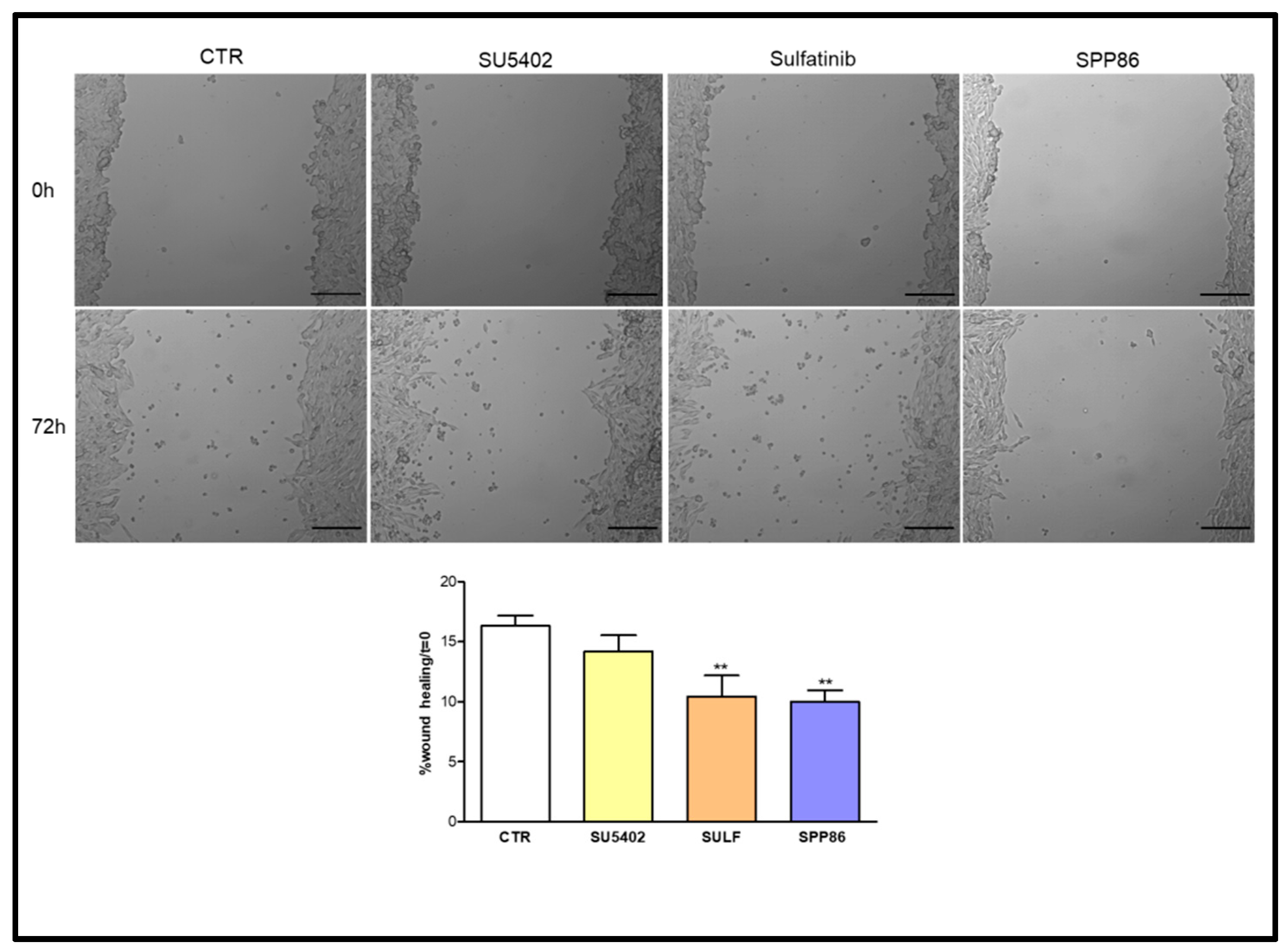 Cancers 14 04442 g006