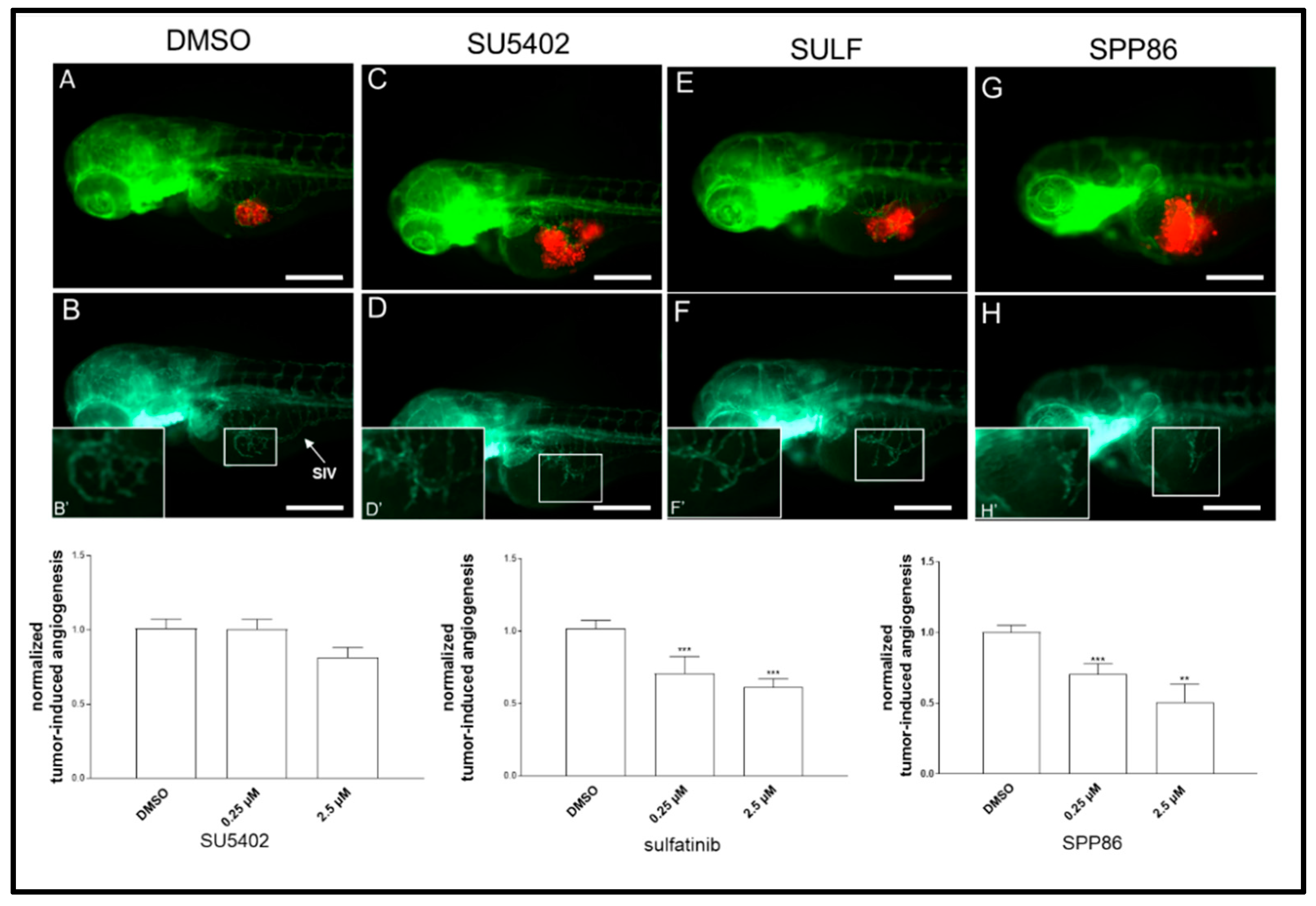 Cancers 14 04442 g007