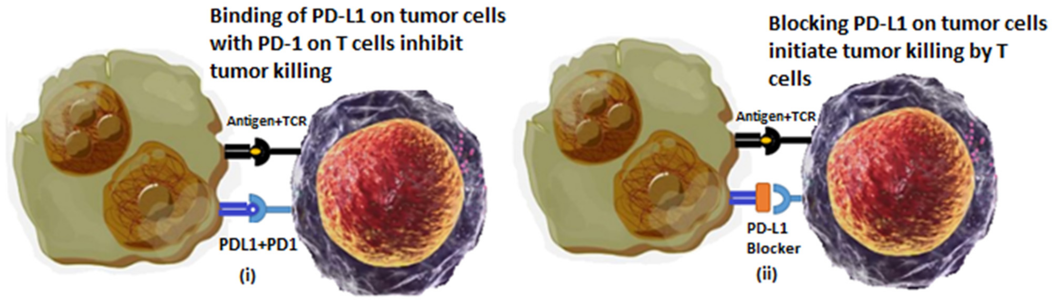 Cancers 14 04458 g002