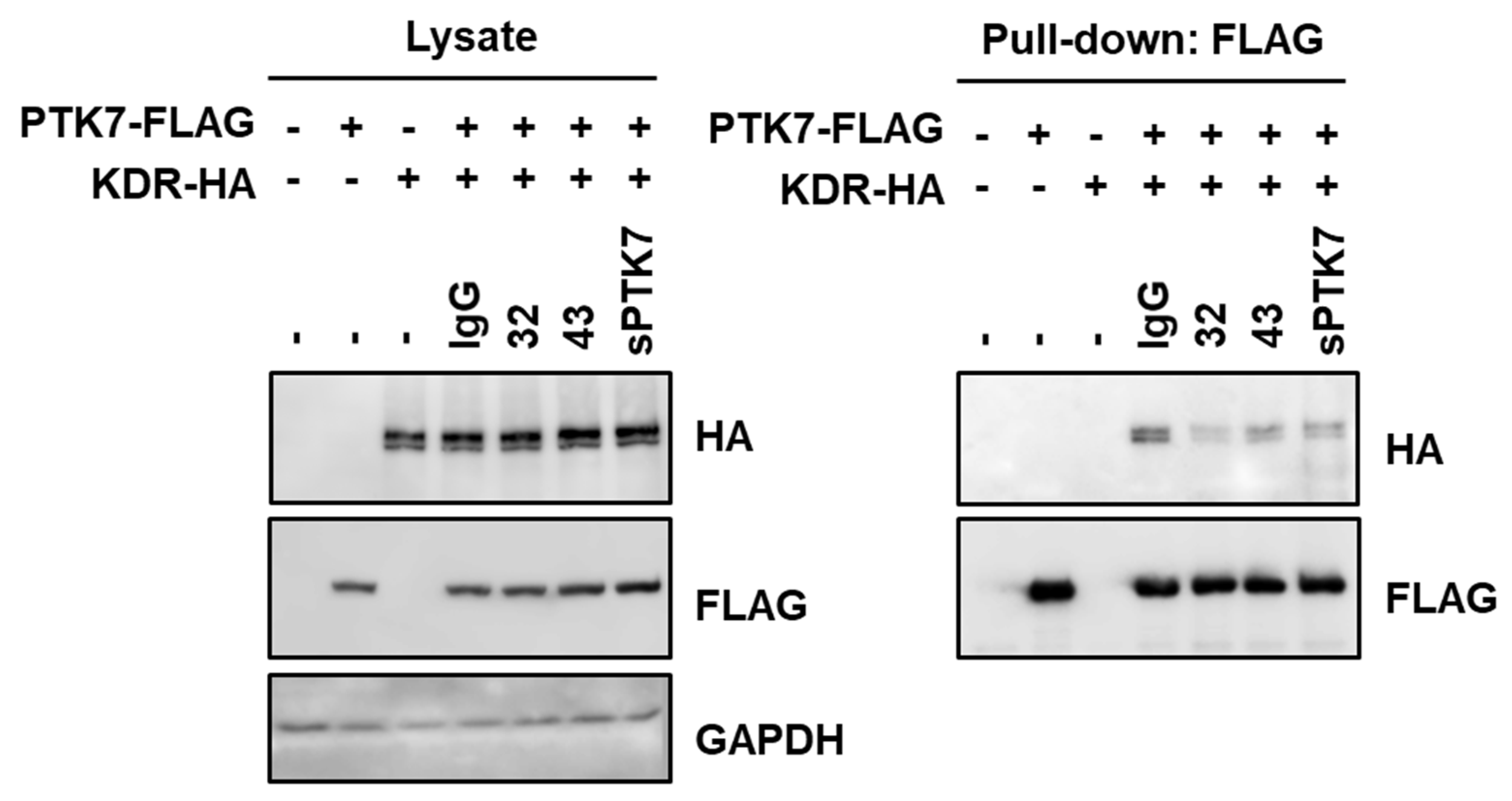 Cancers 14 04463 g010