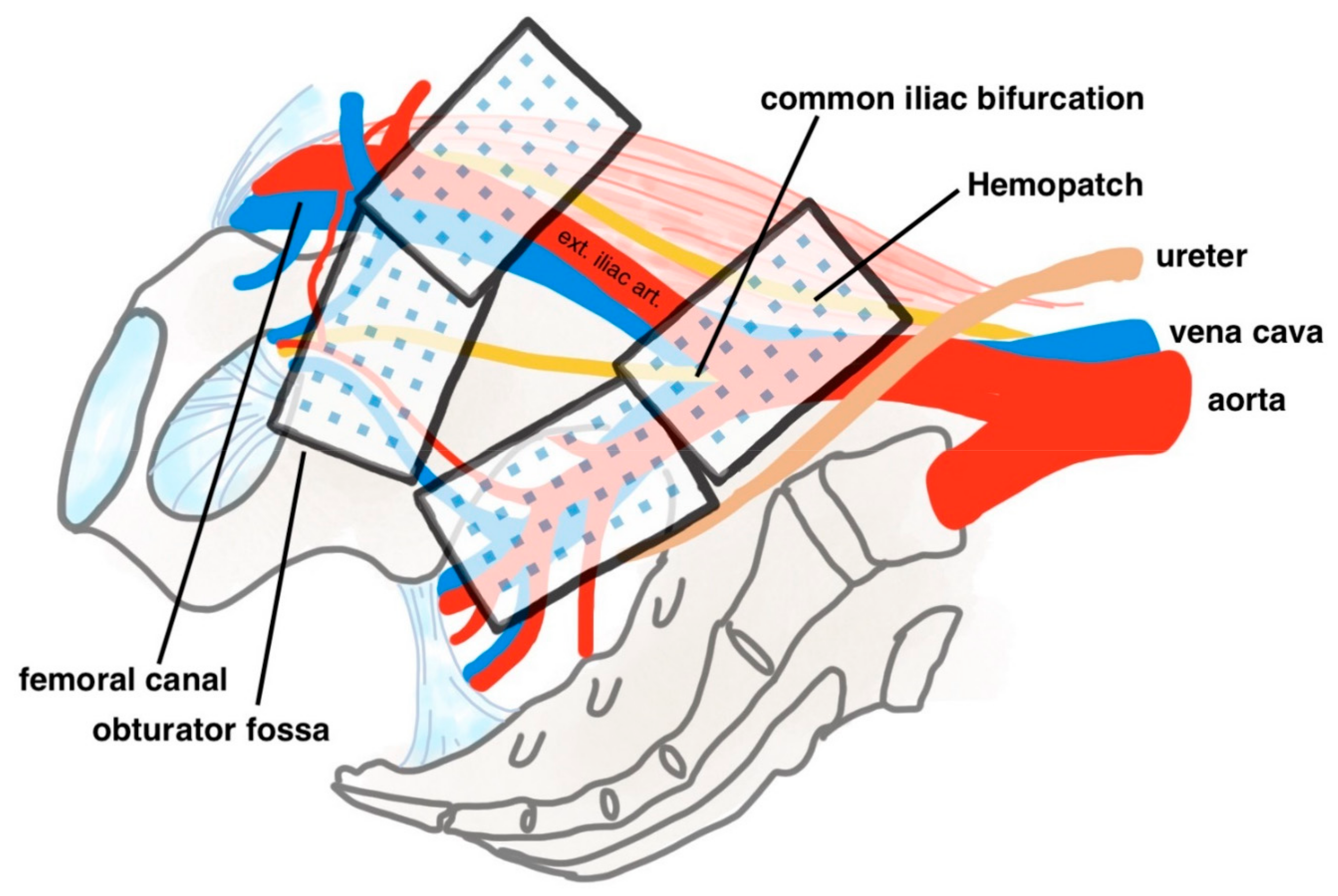 Cancers 14 04476 g001