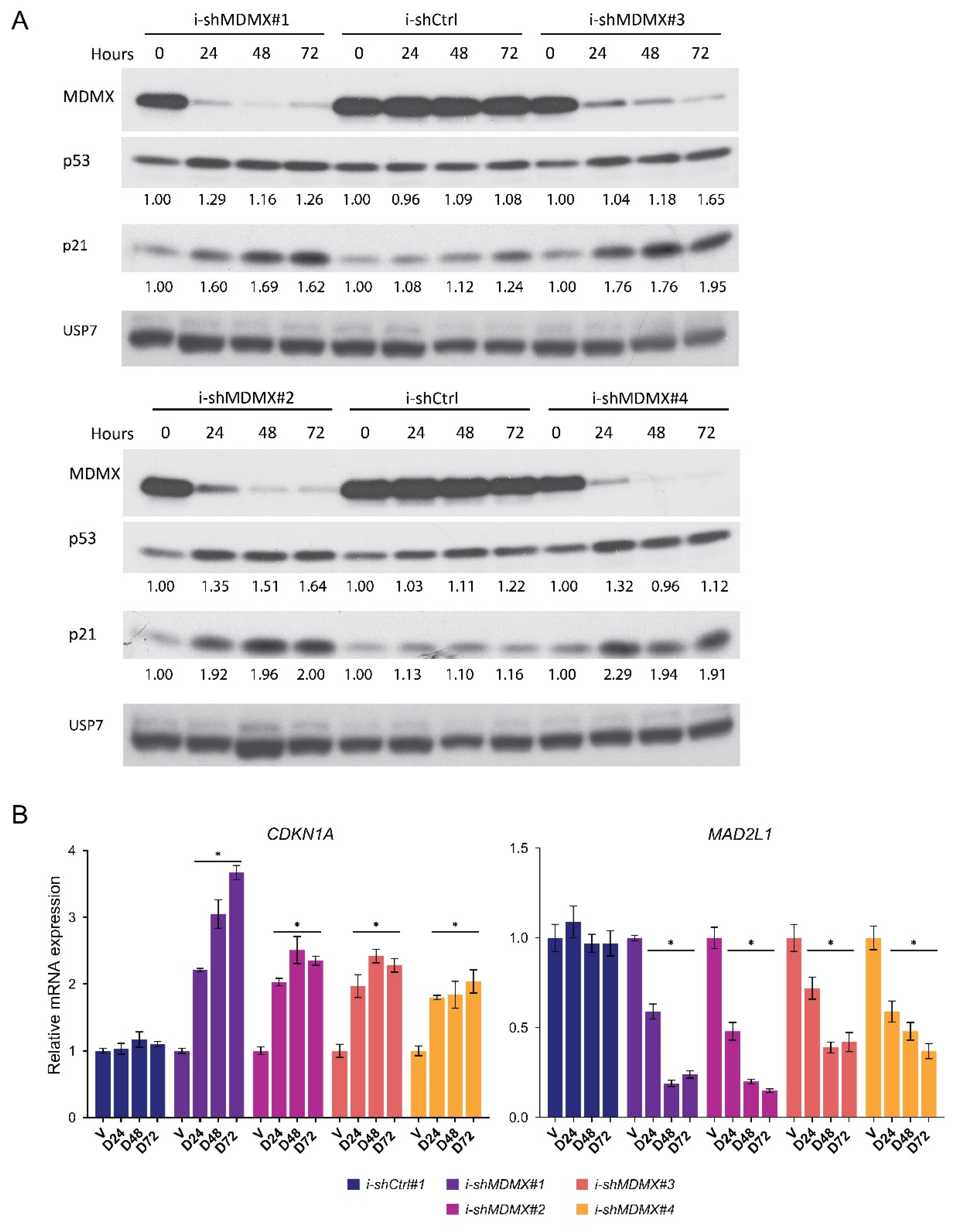 Cancers 14 04482 g001