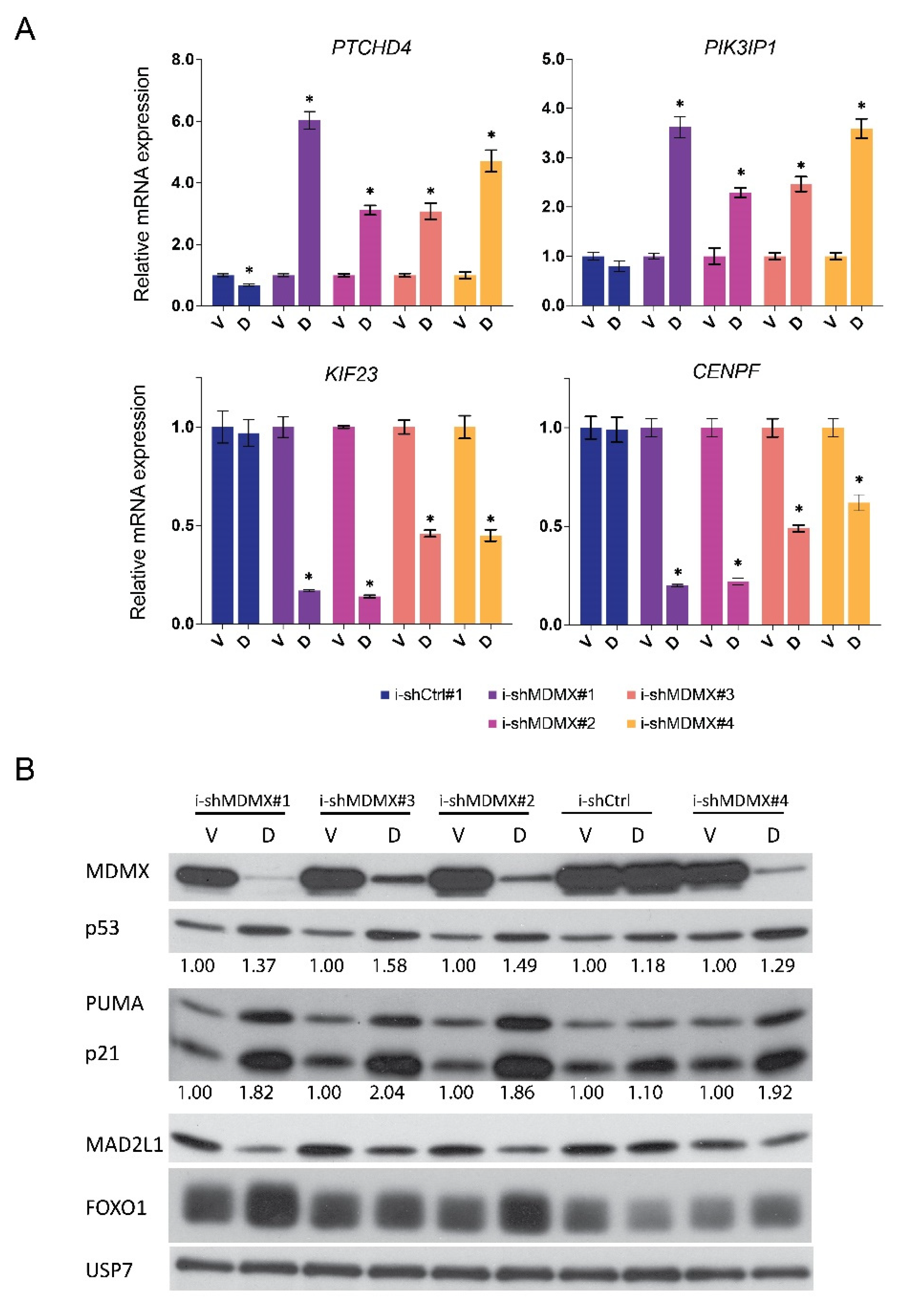 Cancers 14 04482 g002a