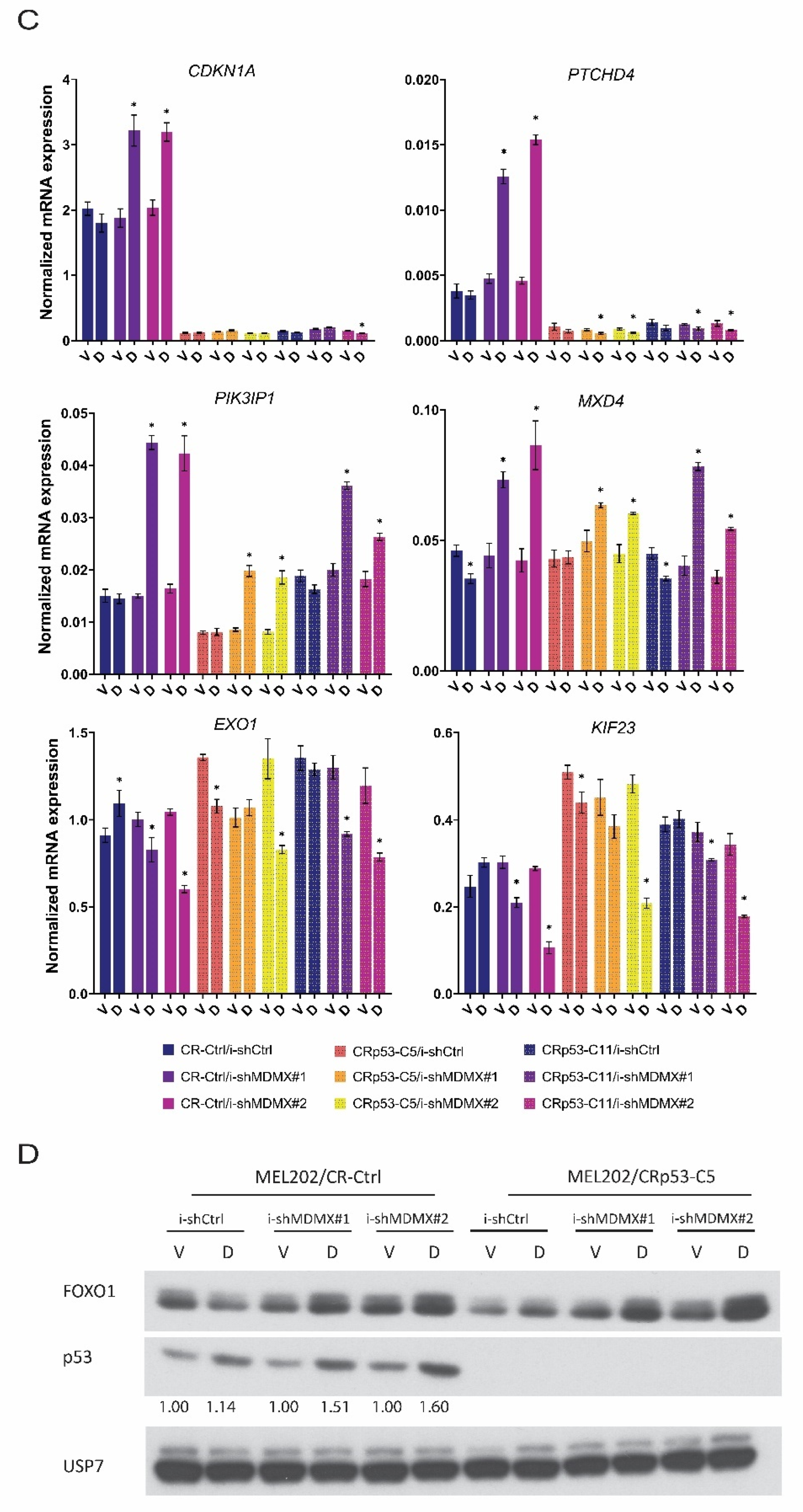 Cancers 14 04482 g002b