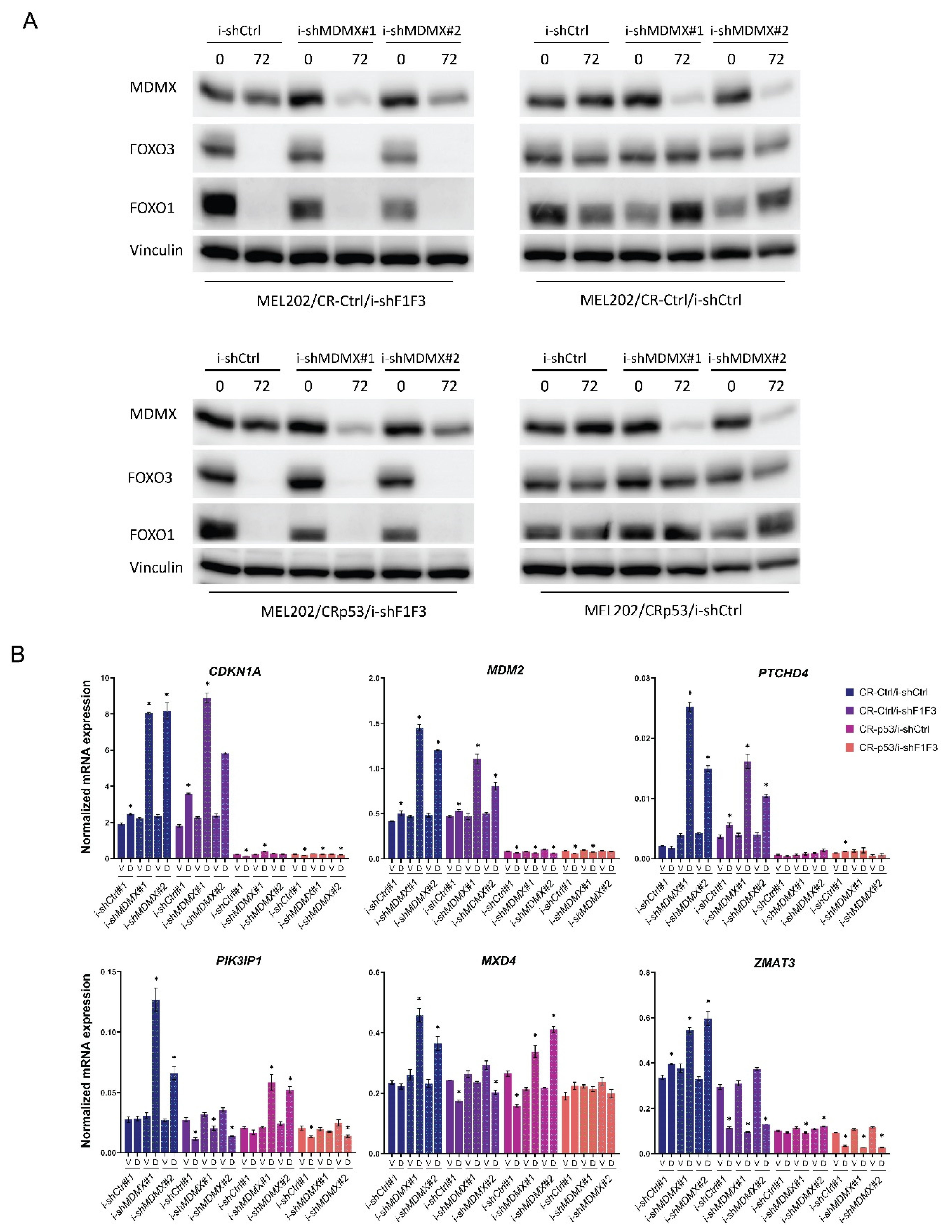 Cancers 14 04482 g003