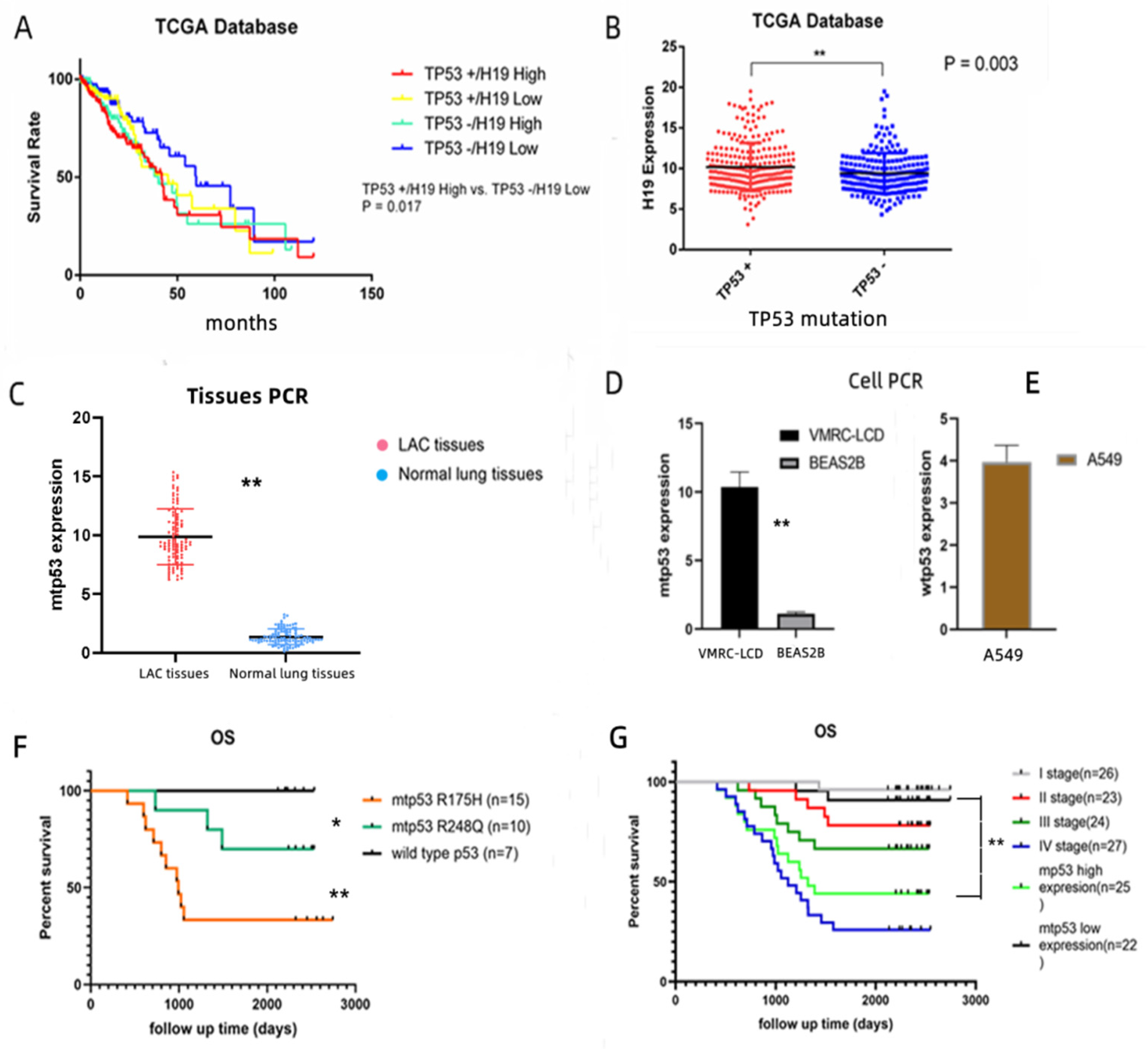 Cancers 14 04486 g001