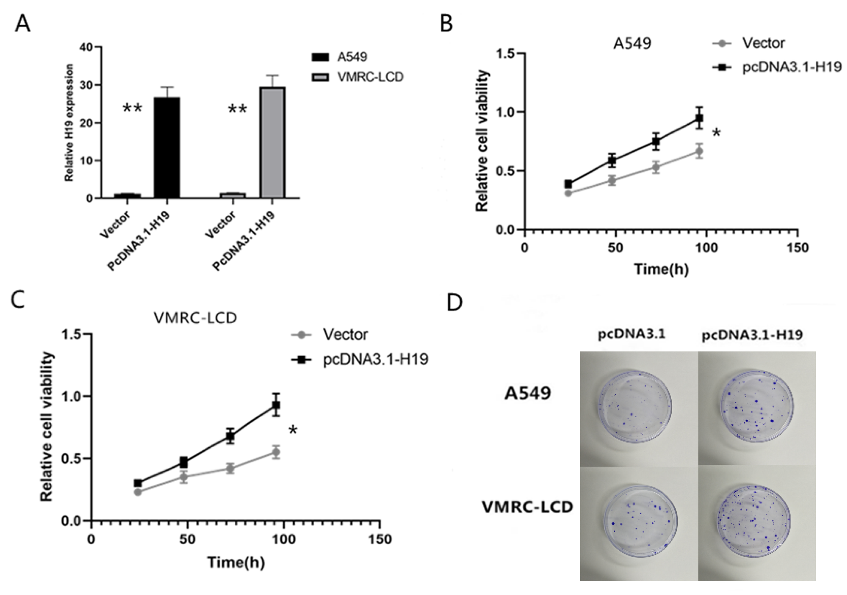 Cancers 14 04486 g002