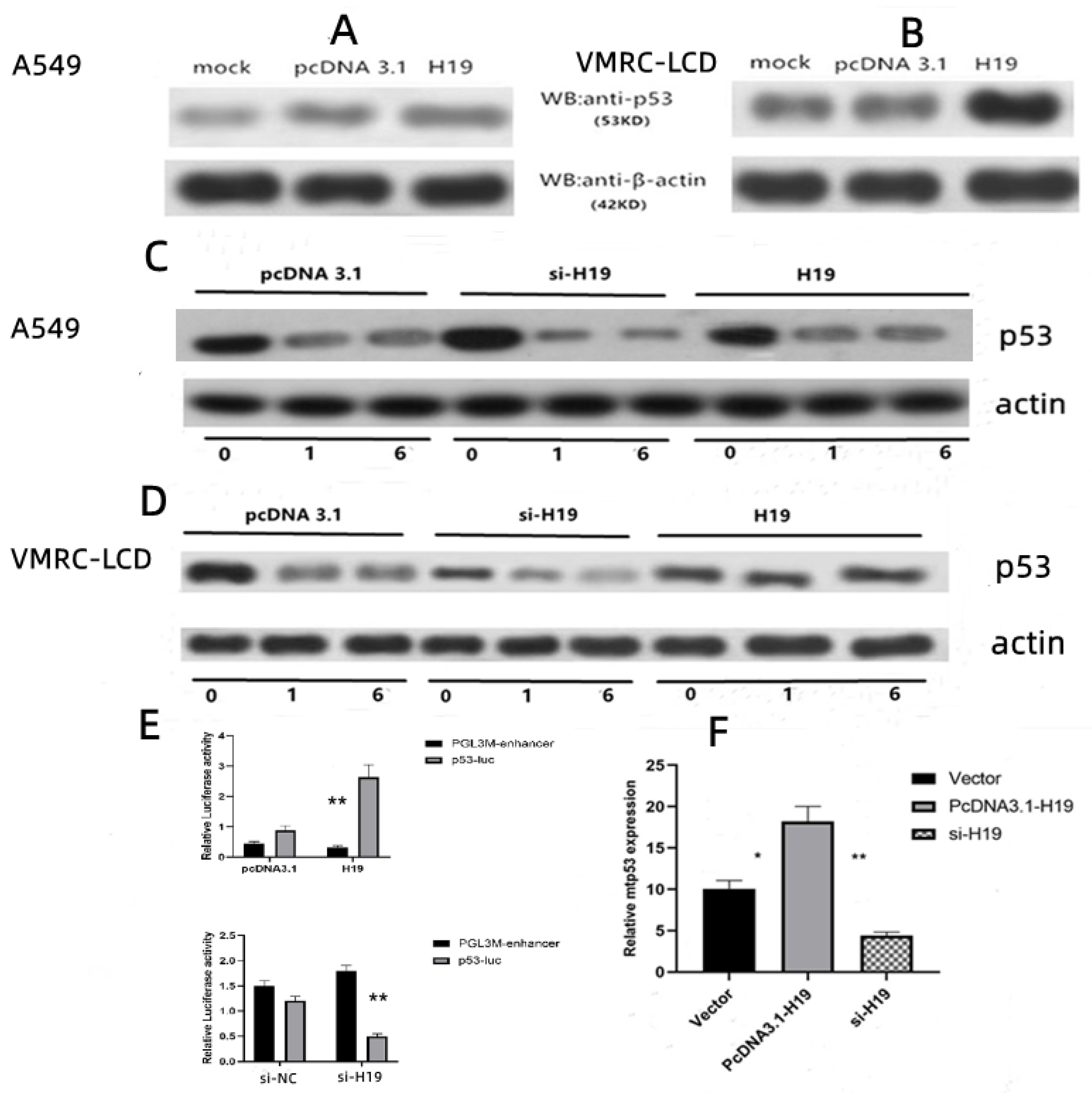 Cancers 14 04486 g003