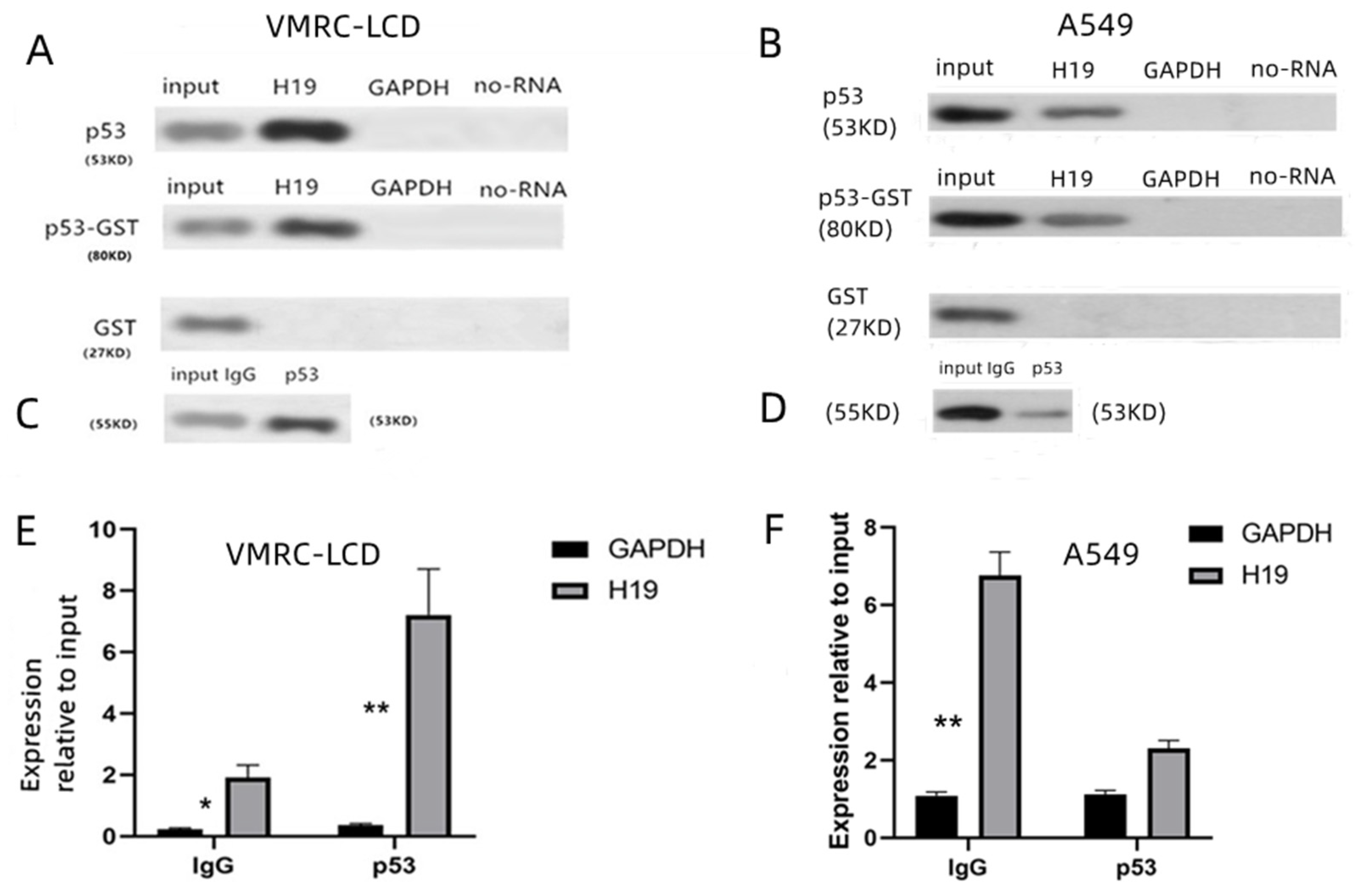 Cancers 14 04486 g004