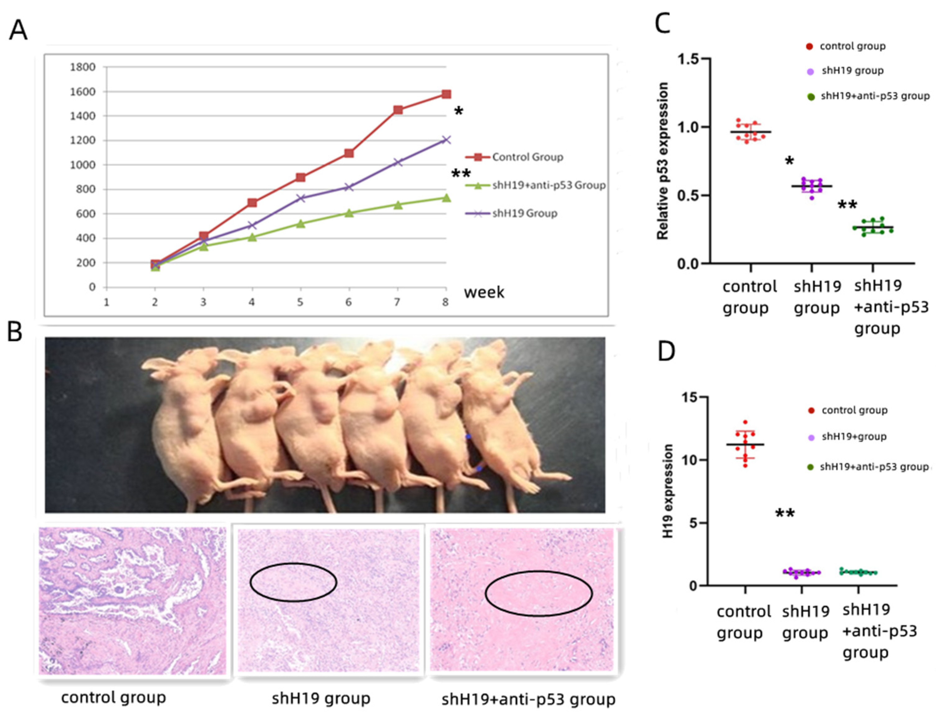 Cancers 14 04486 g005