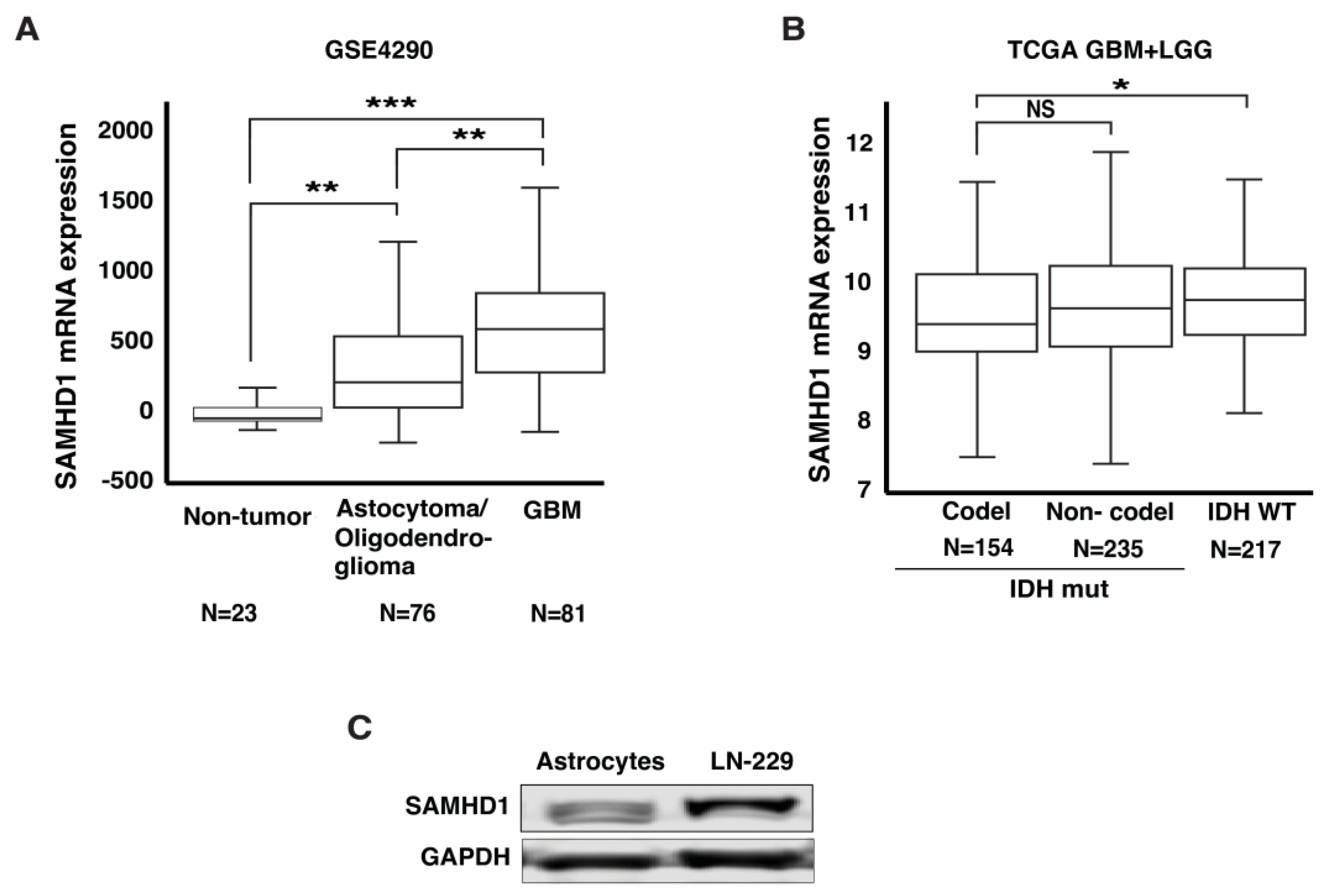 Cancers 14 04490 g001