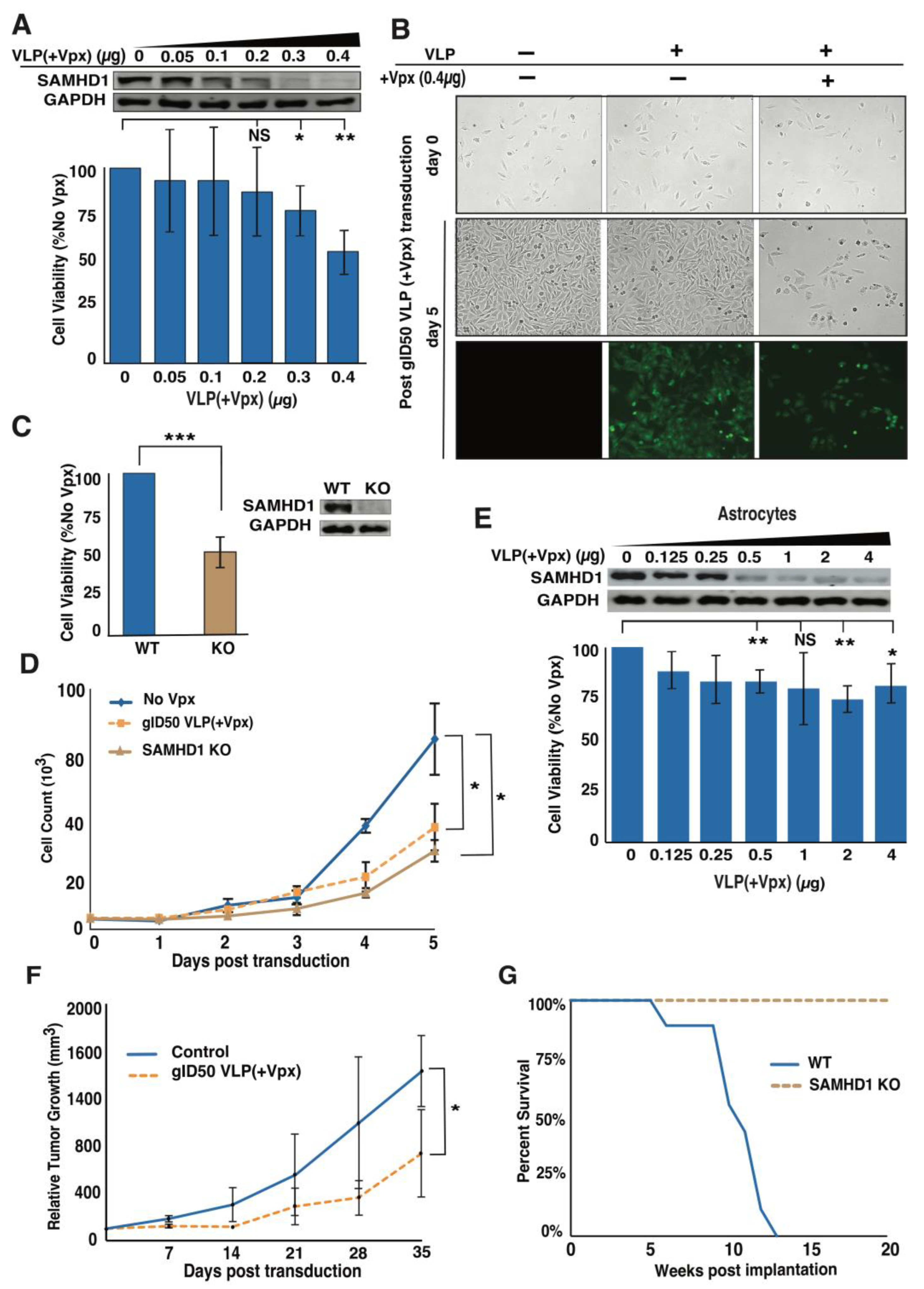 Cancers 14 04490 g003